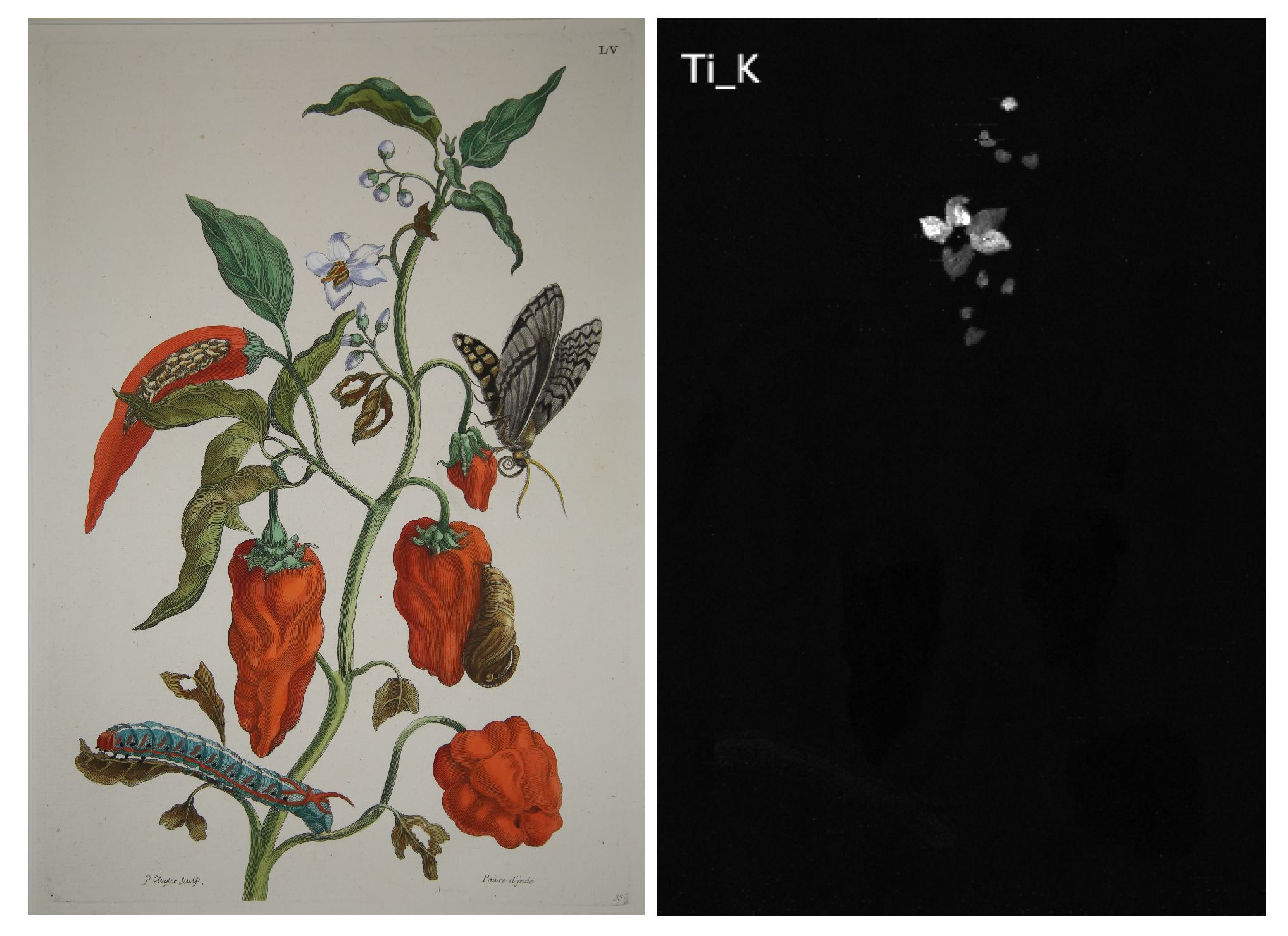 Heritage 04 00088 g003