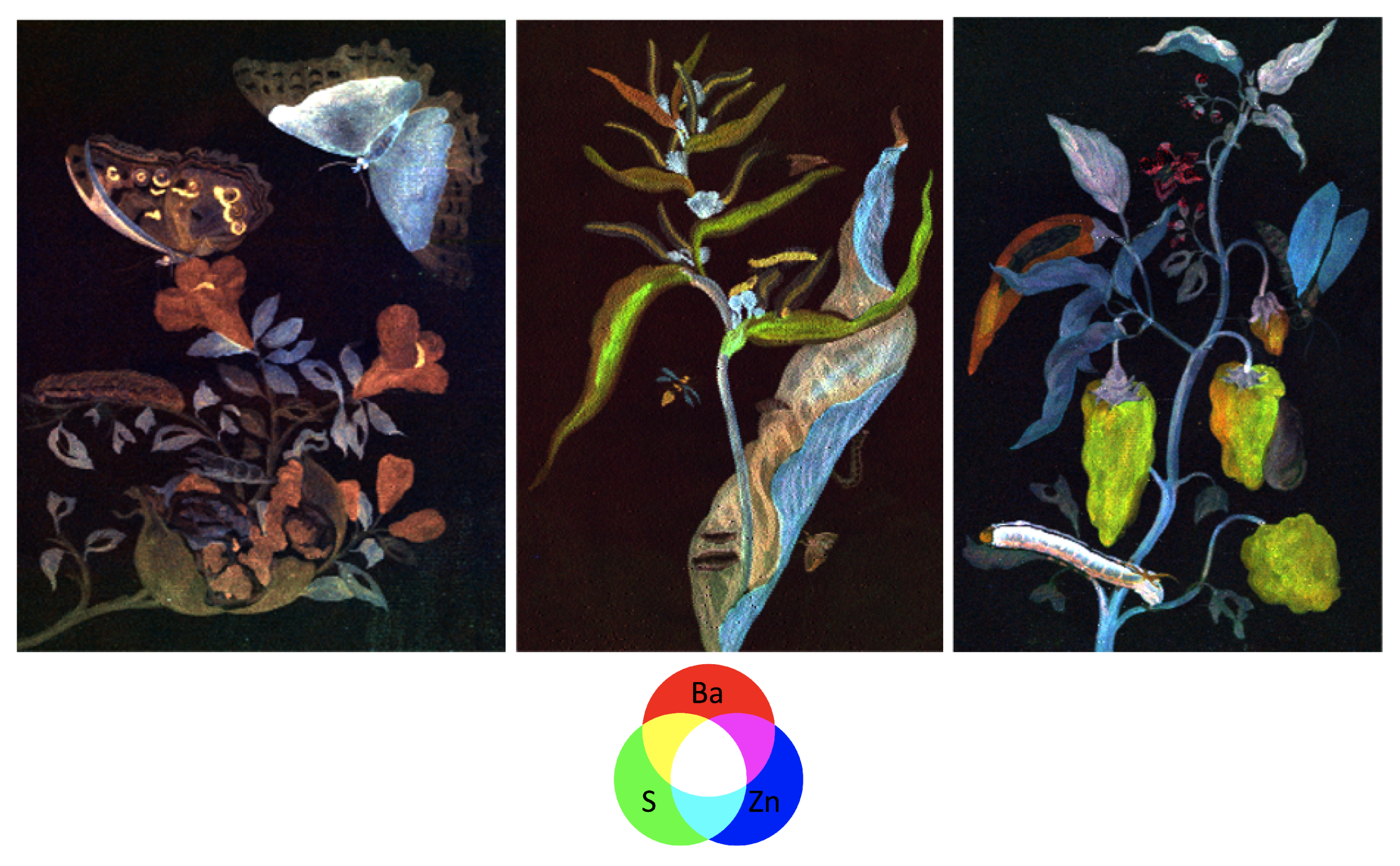 Heritage 04 00088 g004