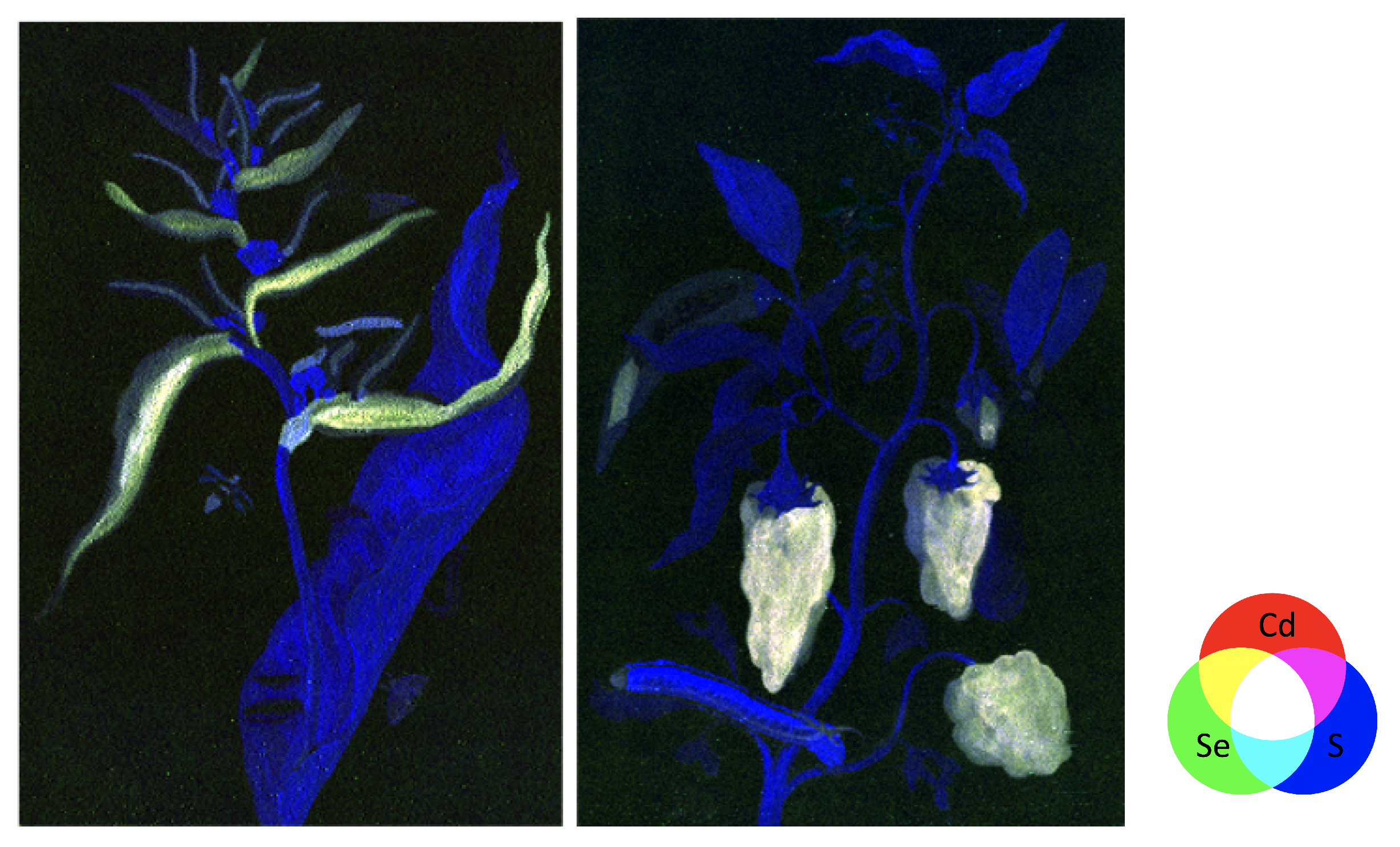 Heritage 04 00088 g005