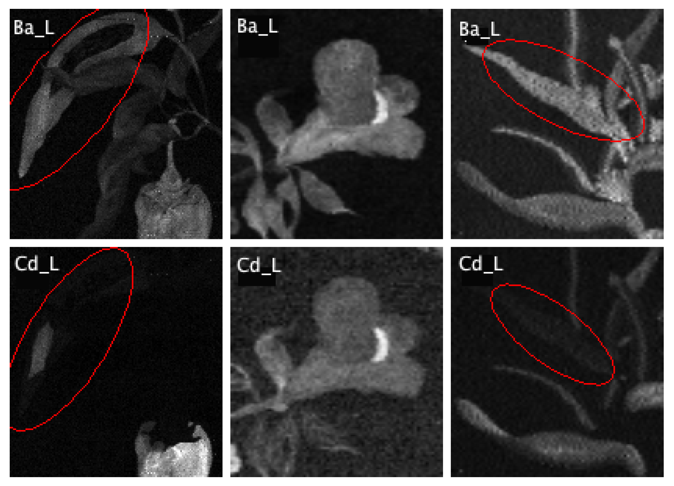 Heritage 04 00088 g007