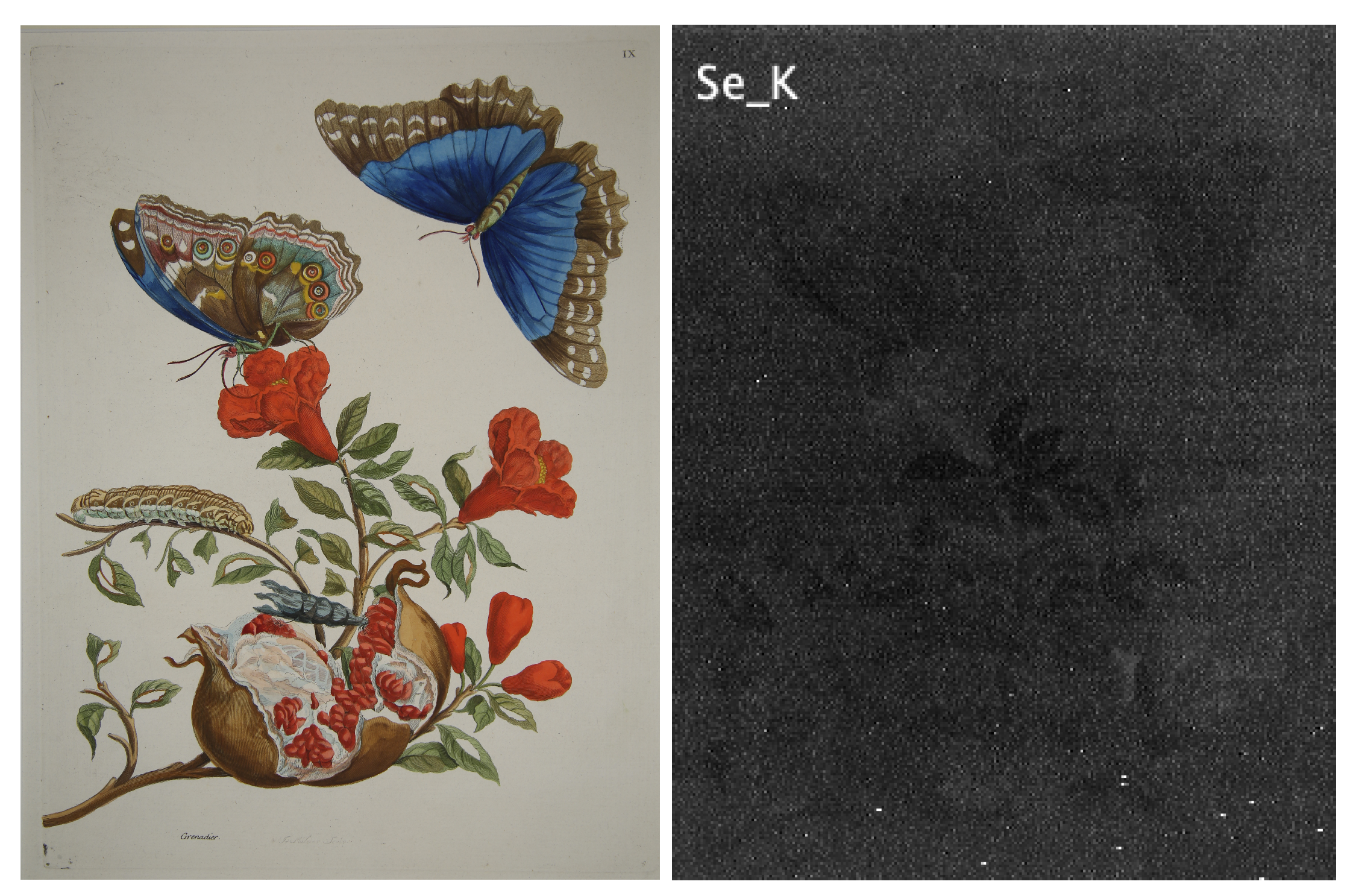 Heritage 04 00088 g008