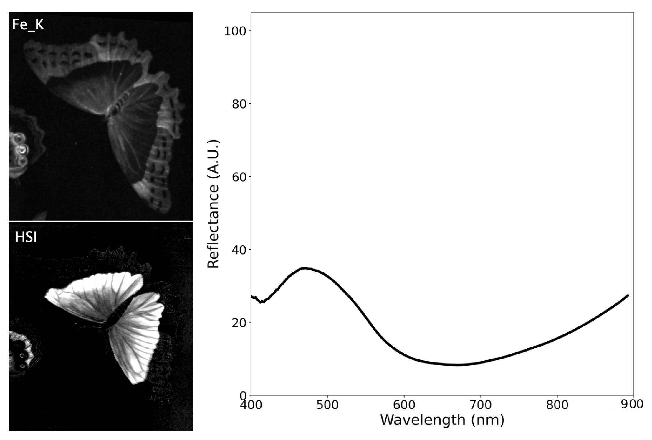 Heritage 04 00088 g009