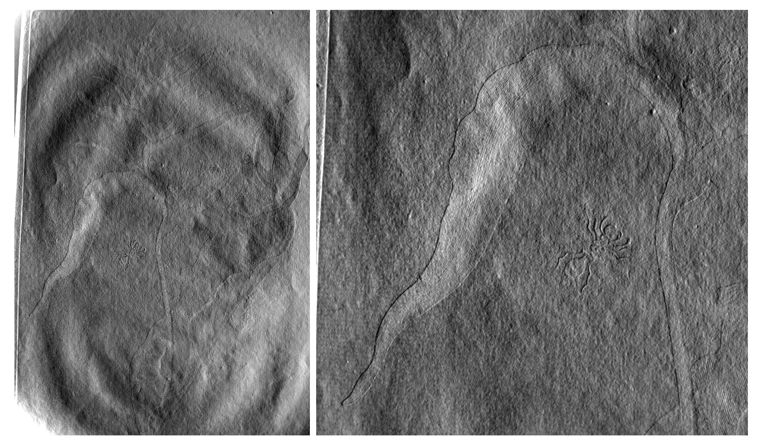 Heritage 04 00088 g010