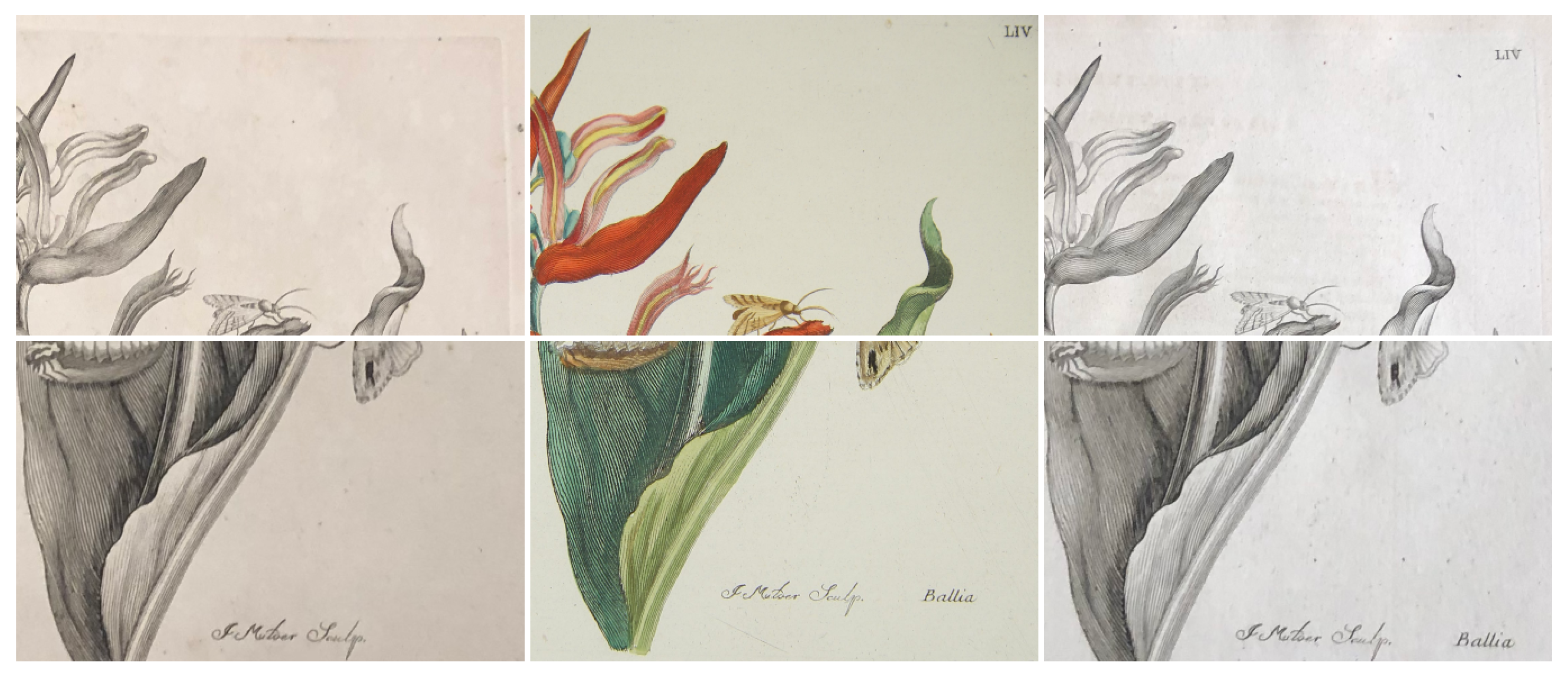 Heritage 04 00088 g011