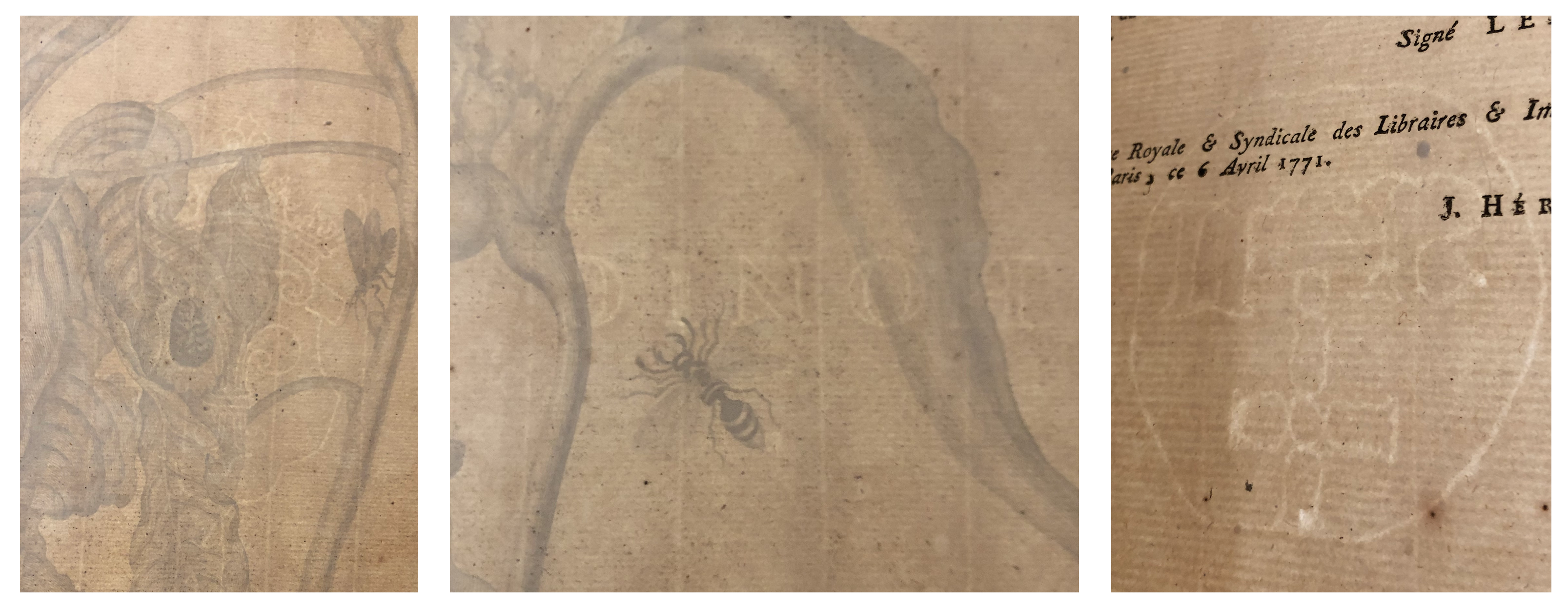 Heritage 04 00088 g013