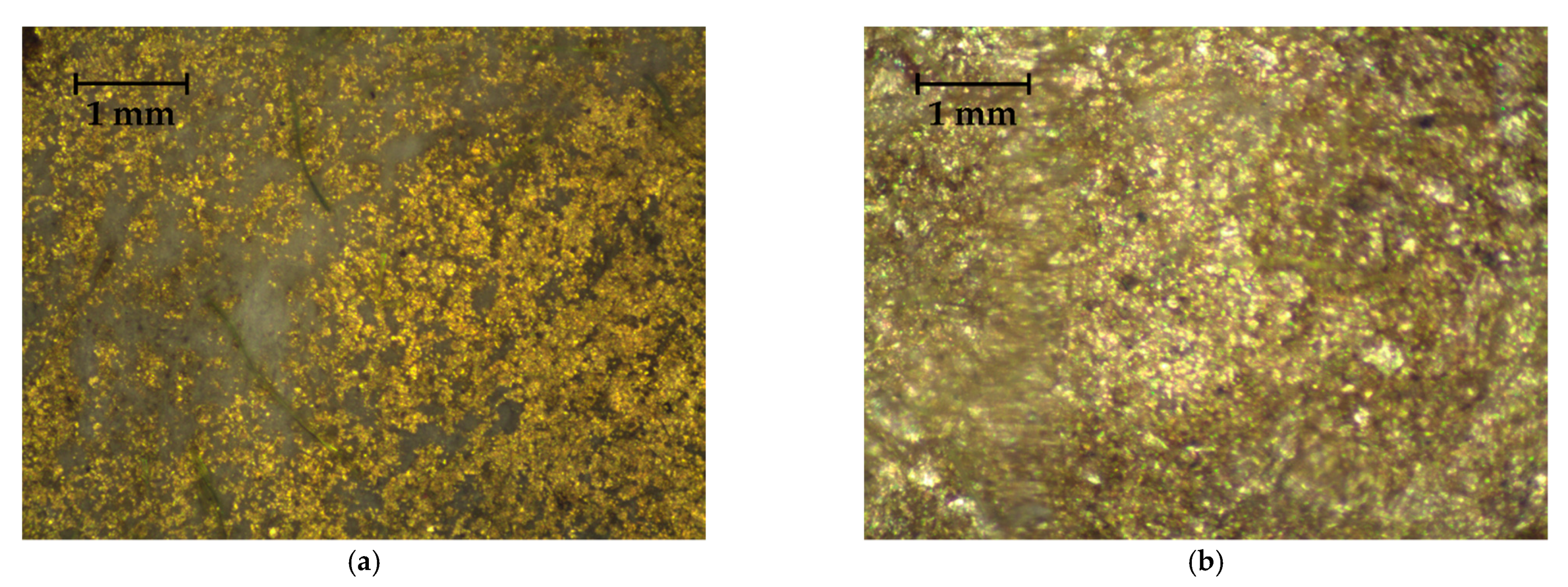 Heritage 04 00100 g008 550