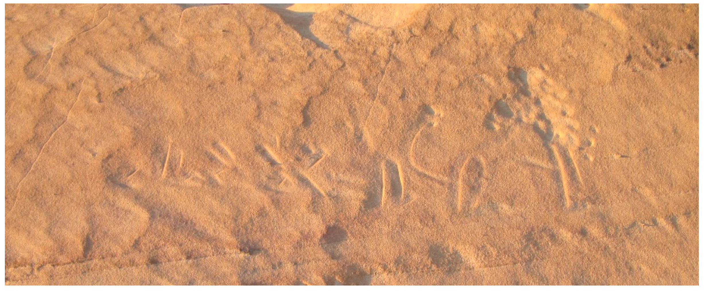 Heritage 04 00127 g005 550