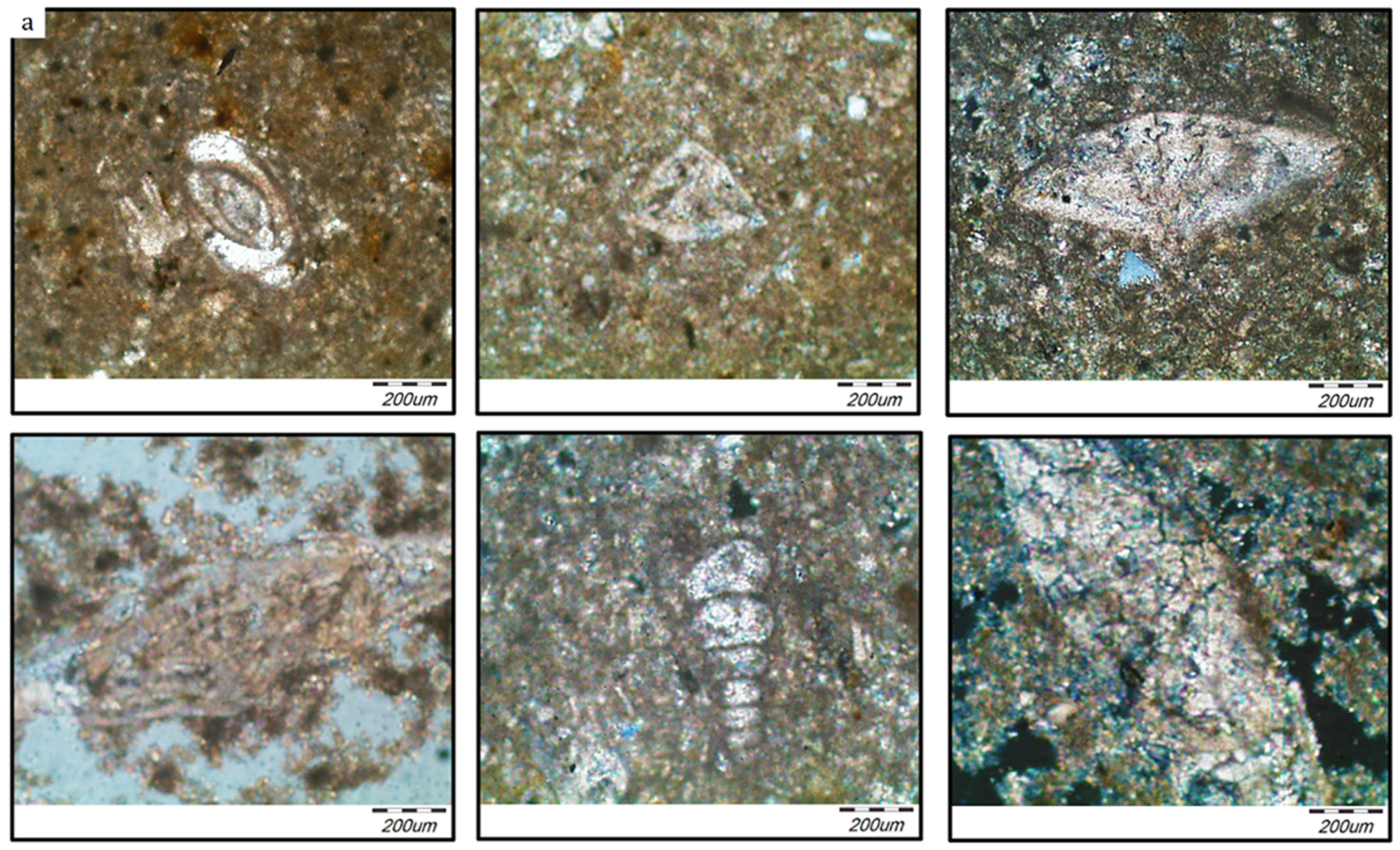 Heritage 04 00135 g008a Heritage 04 00135 g008a