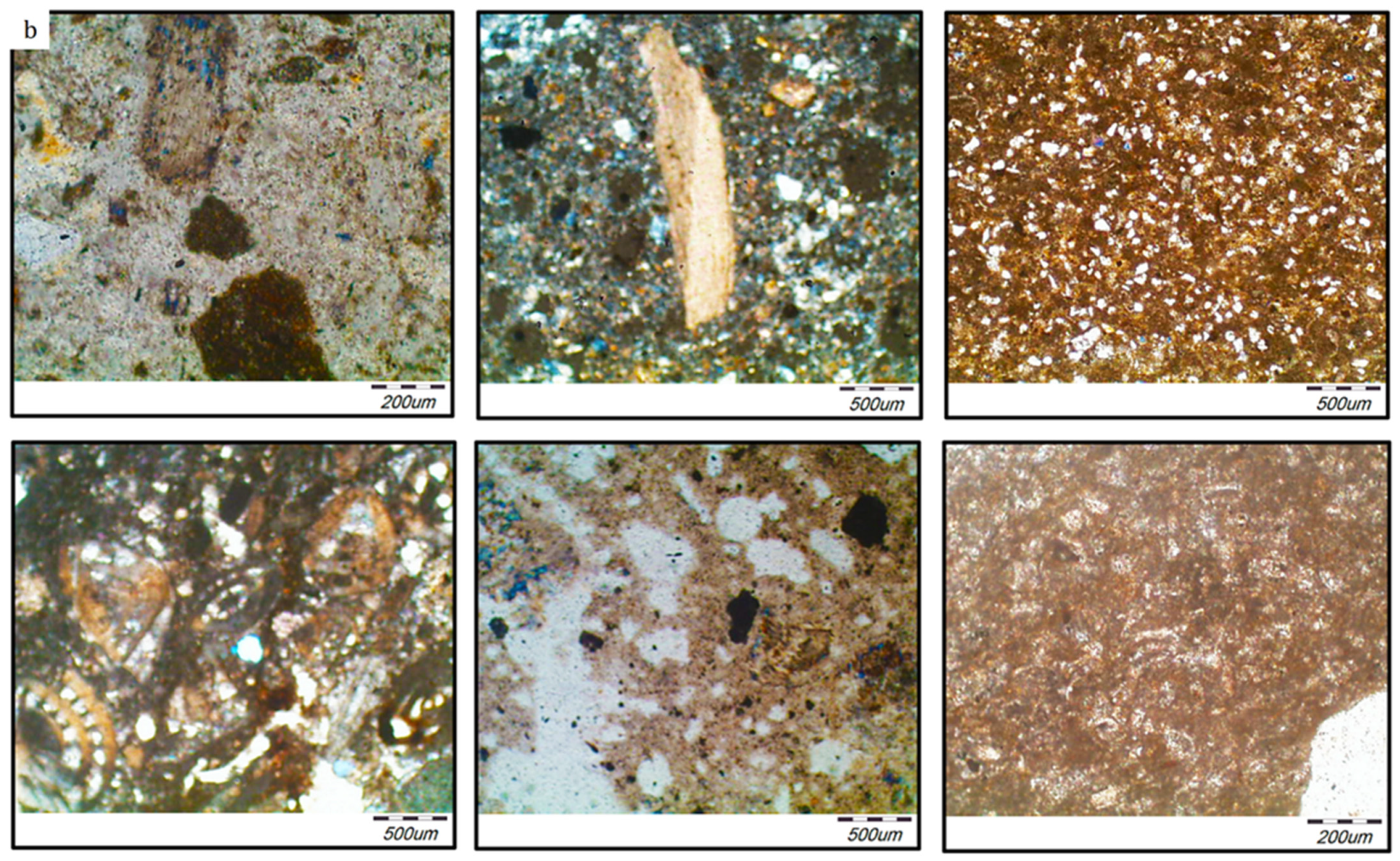 Heritage 04 00135 g008b Heritage 04 00135 g008b