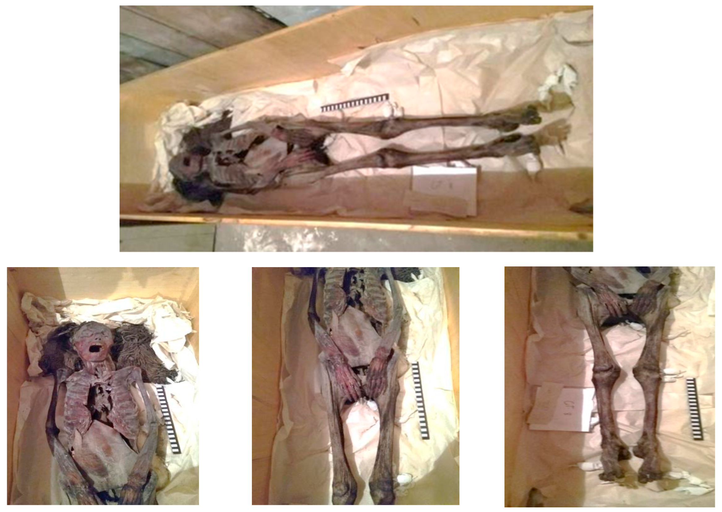 Heritage 04 00140 g001