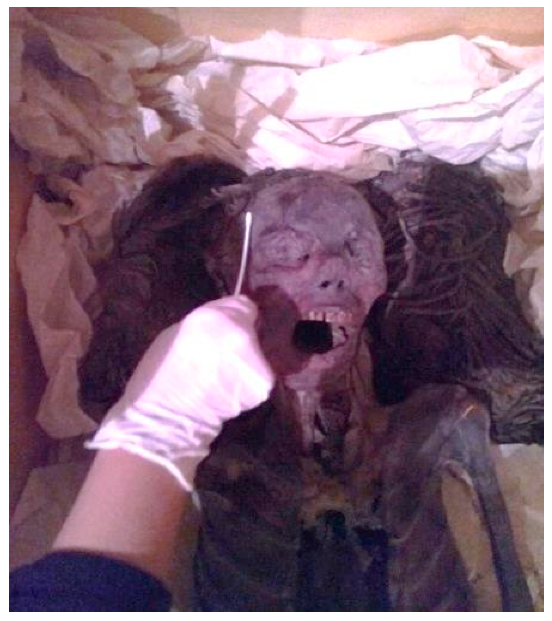 Heritage 04 00140 g002