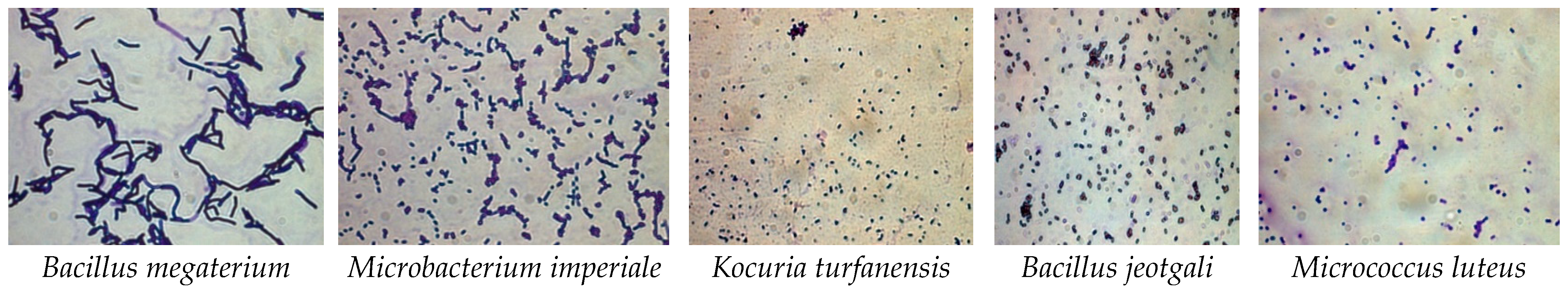 Heritage 04 00140 g003