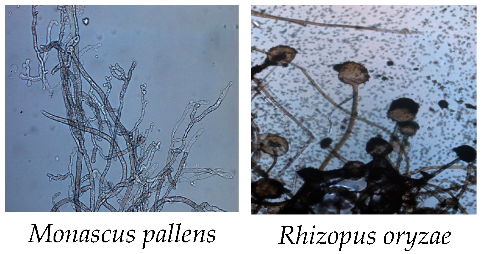 Heritage 04 00140 g004