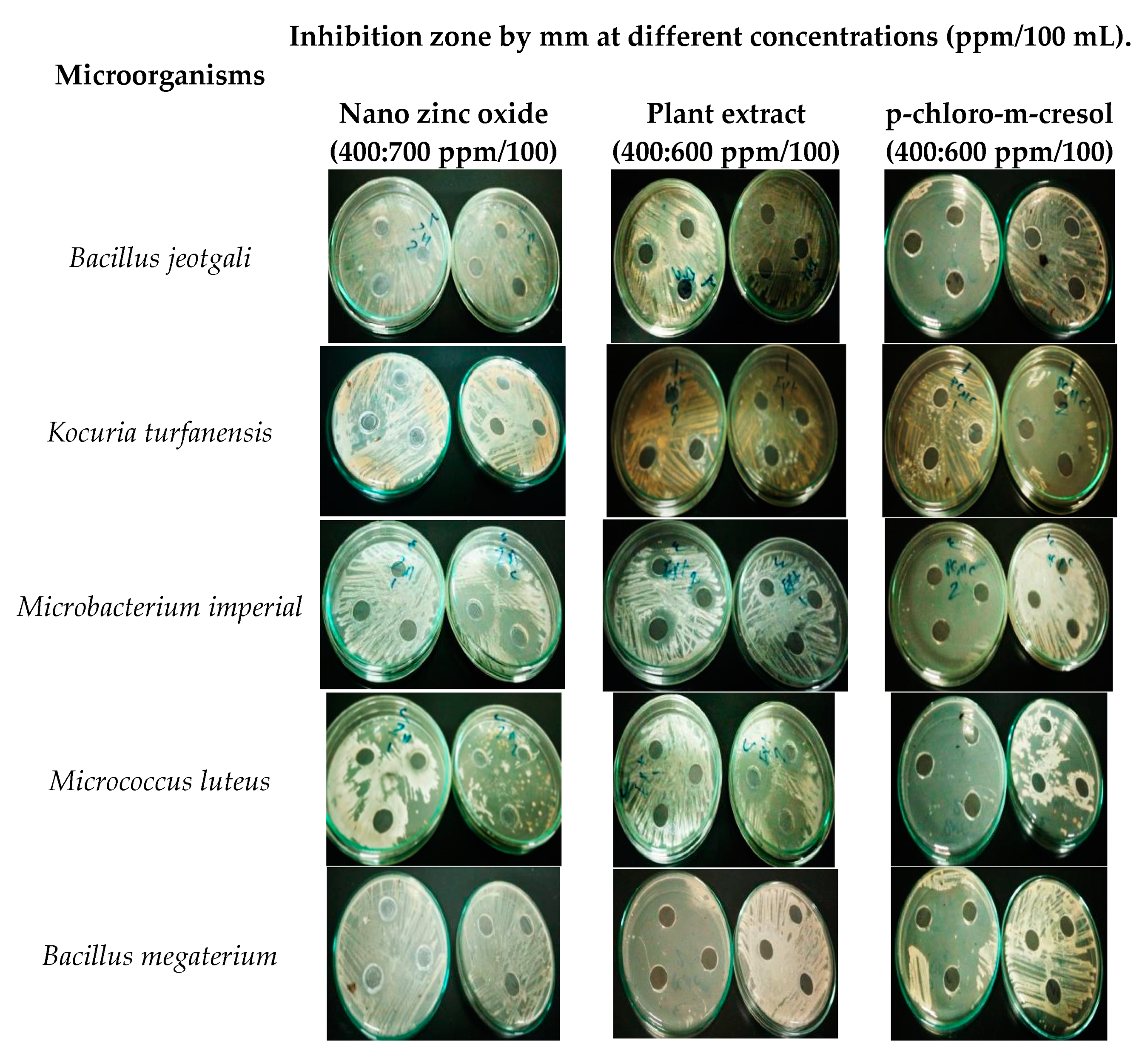 Heritage 04 00140 g006