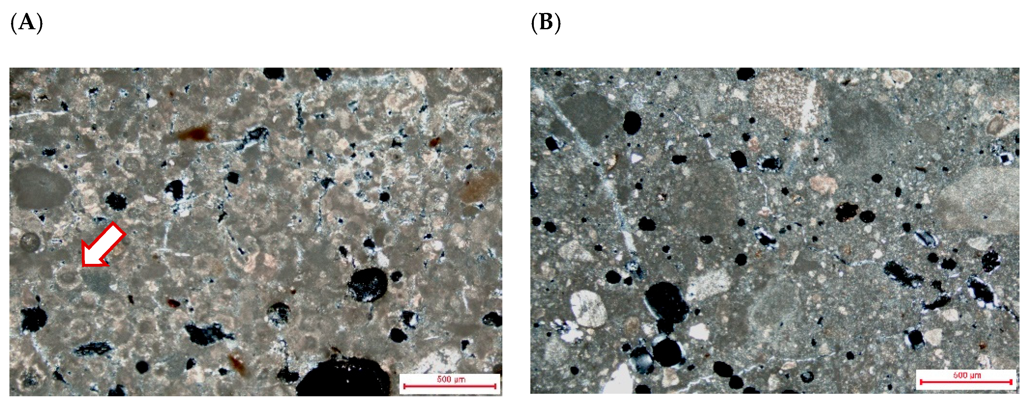 Heritage 04 00141 g004a