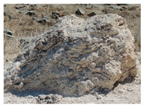 Heritage 04 00141 i016