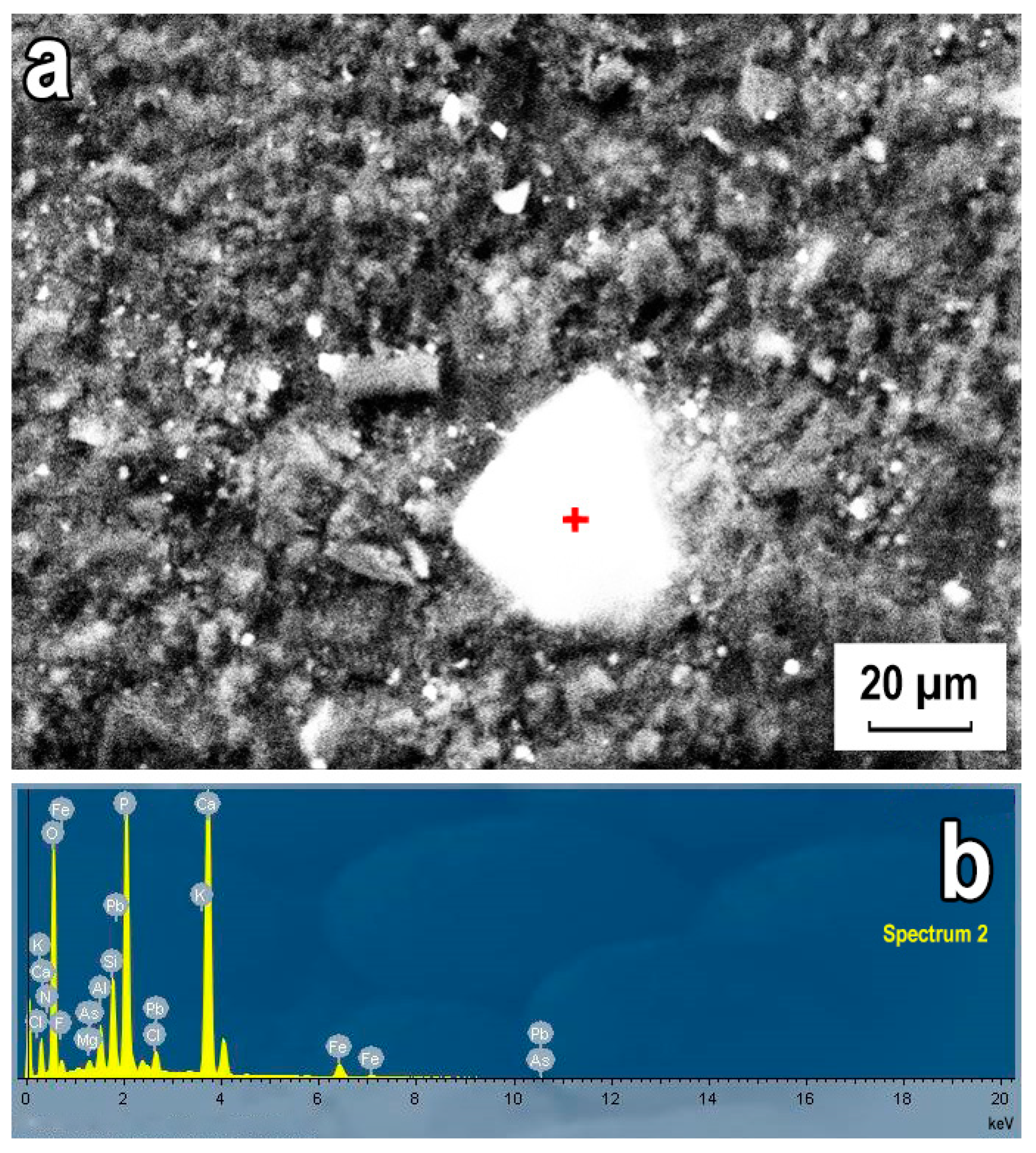 Heritage 04 00149 g010