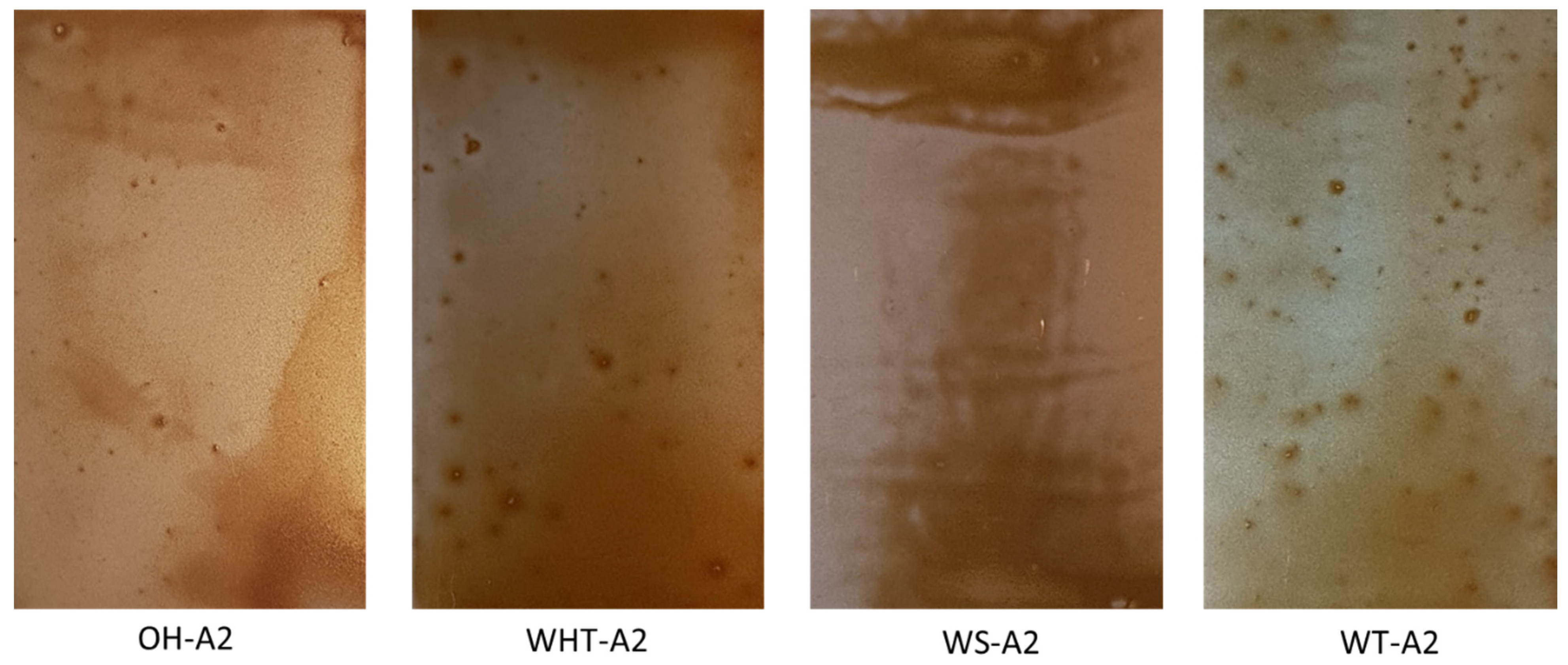 Heritage 04 00189 g003