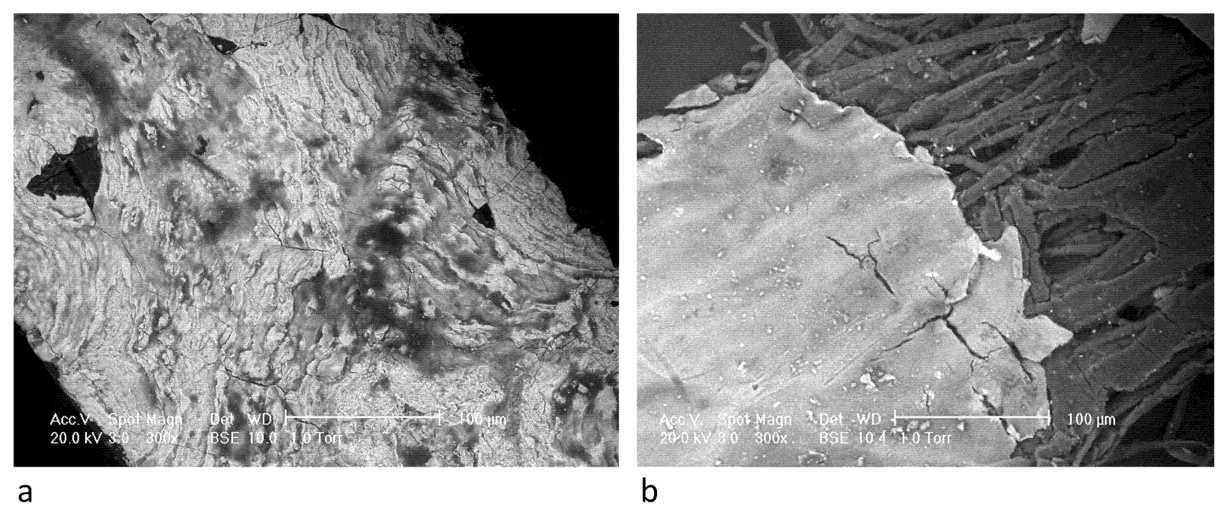 Unveiling the Complexity of Japanese Metallic Threads