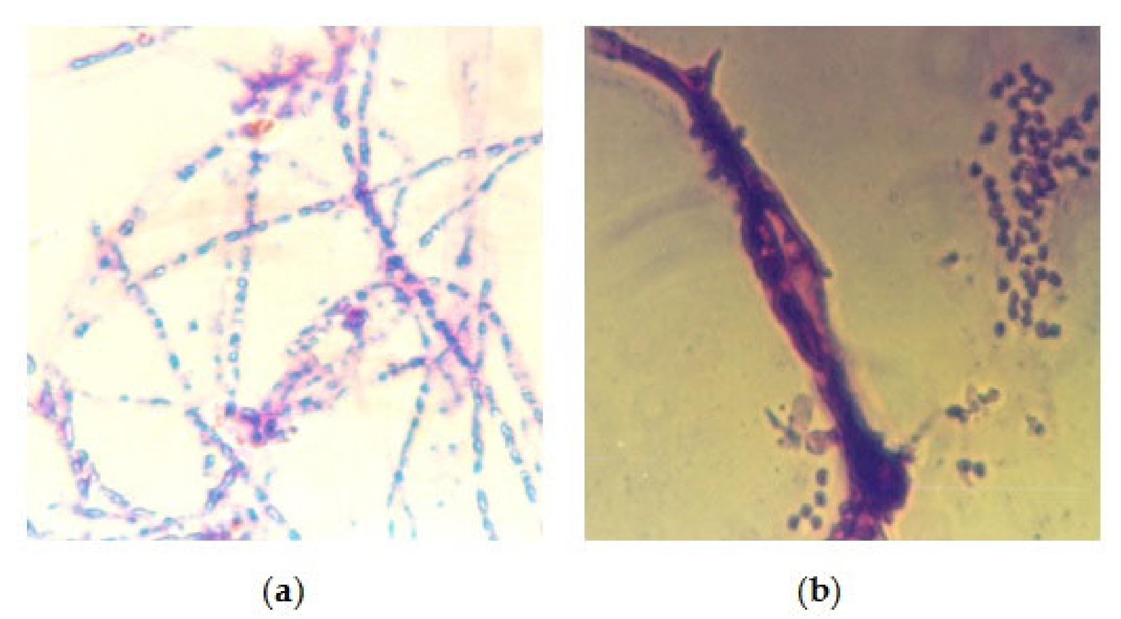 Heritage 04 00223 g009