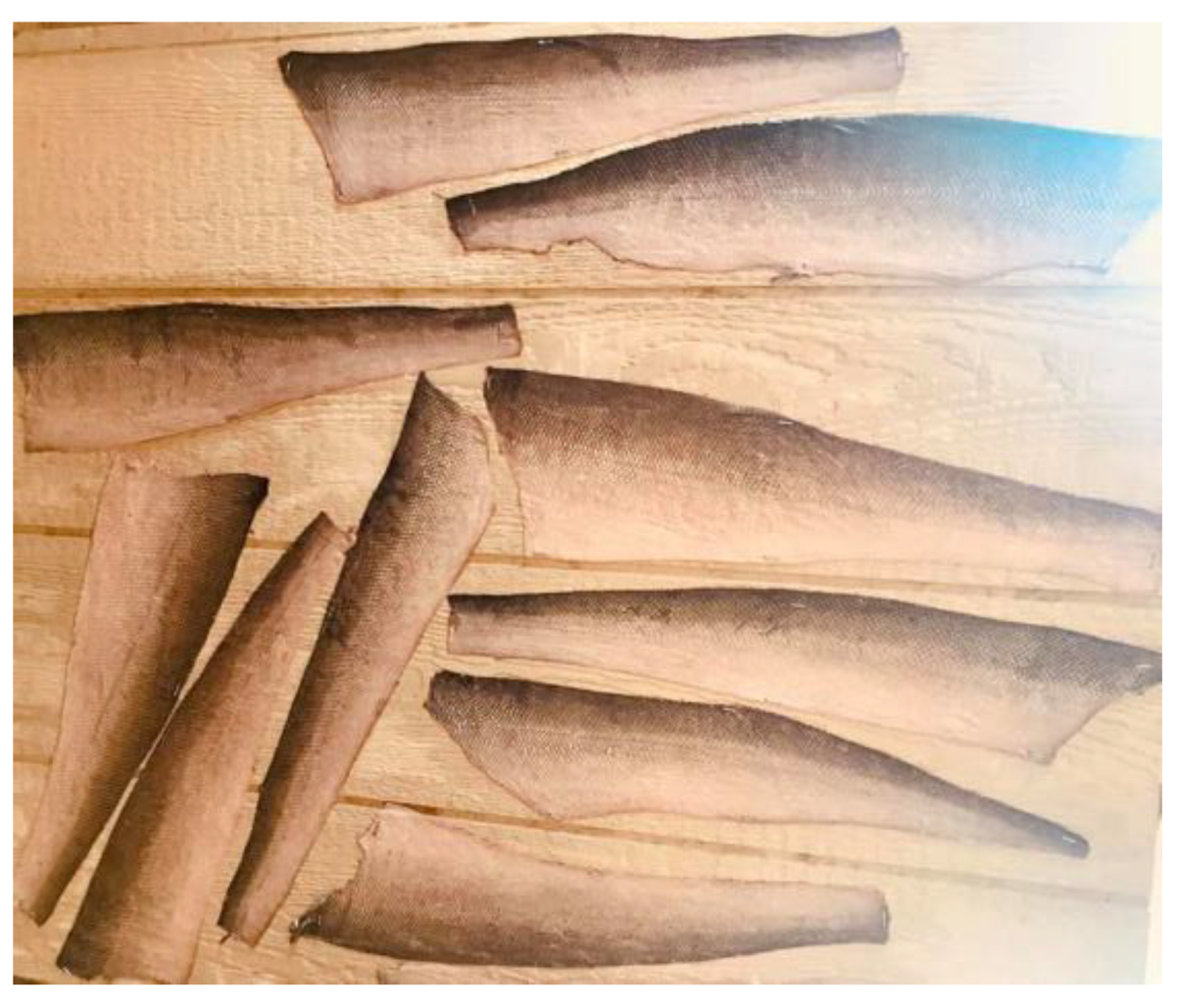 Heritage 04 00234 g008 550