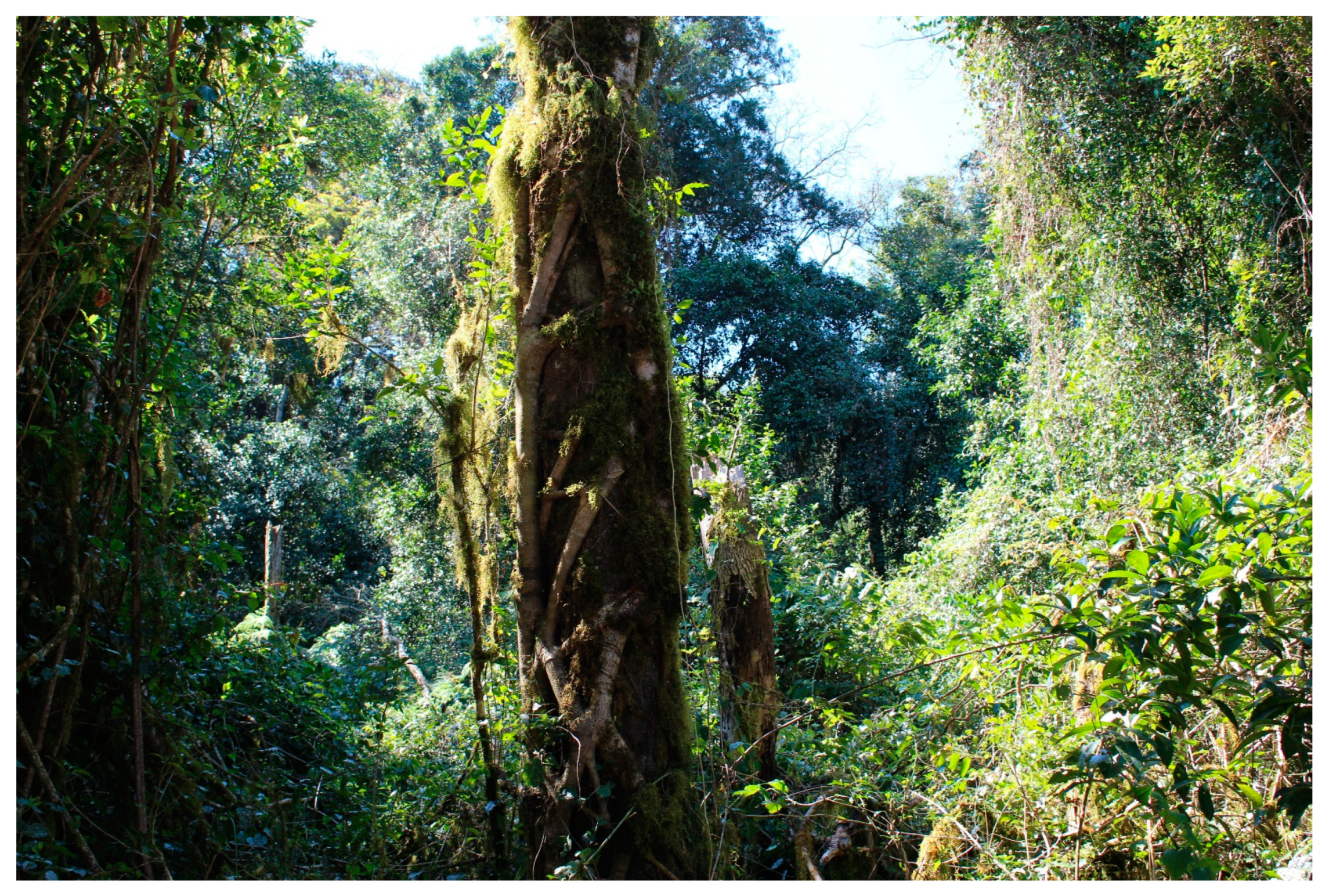 Heritage 04 00249 g003