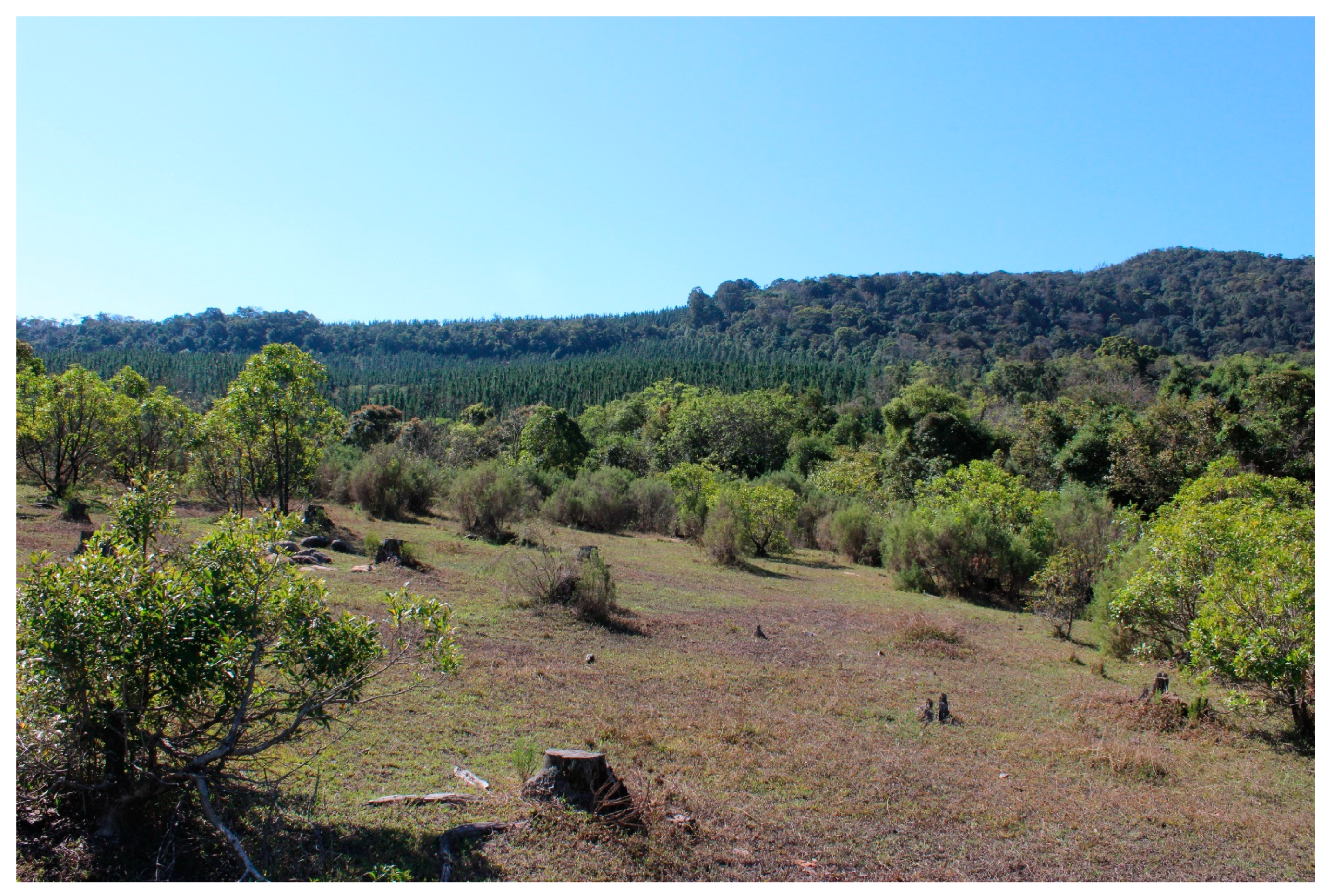 Heritage 04 00249 g004