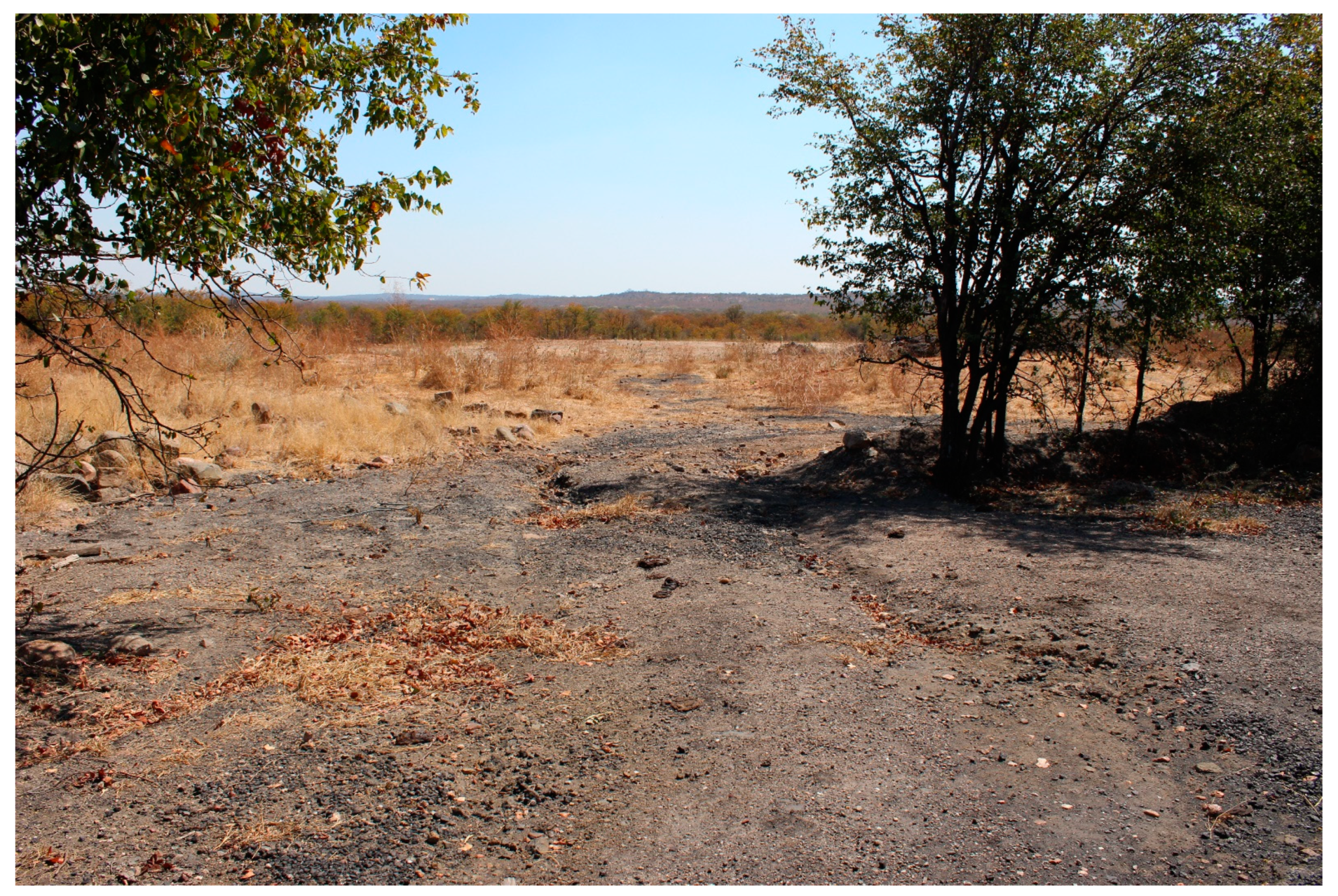 Heritage 04 00249 g005