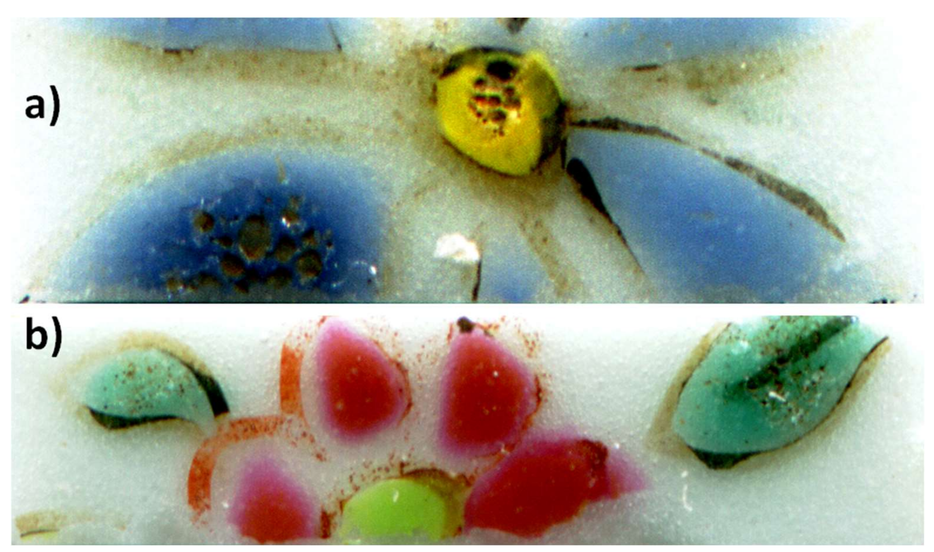 Heritage 05 00013 g003