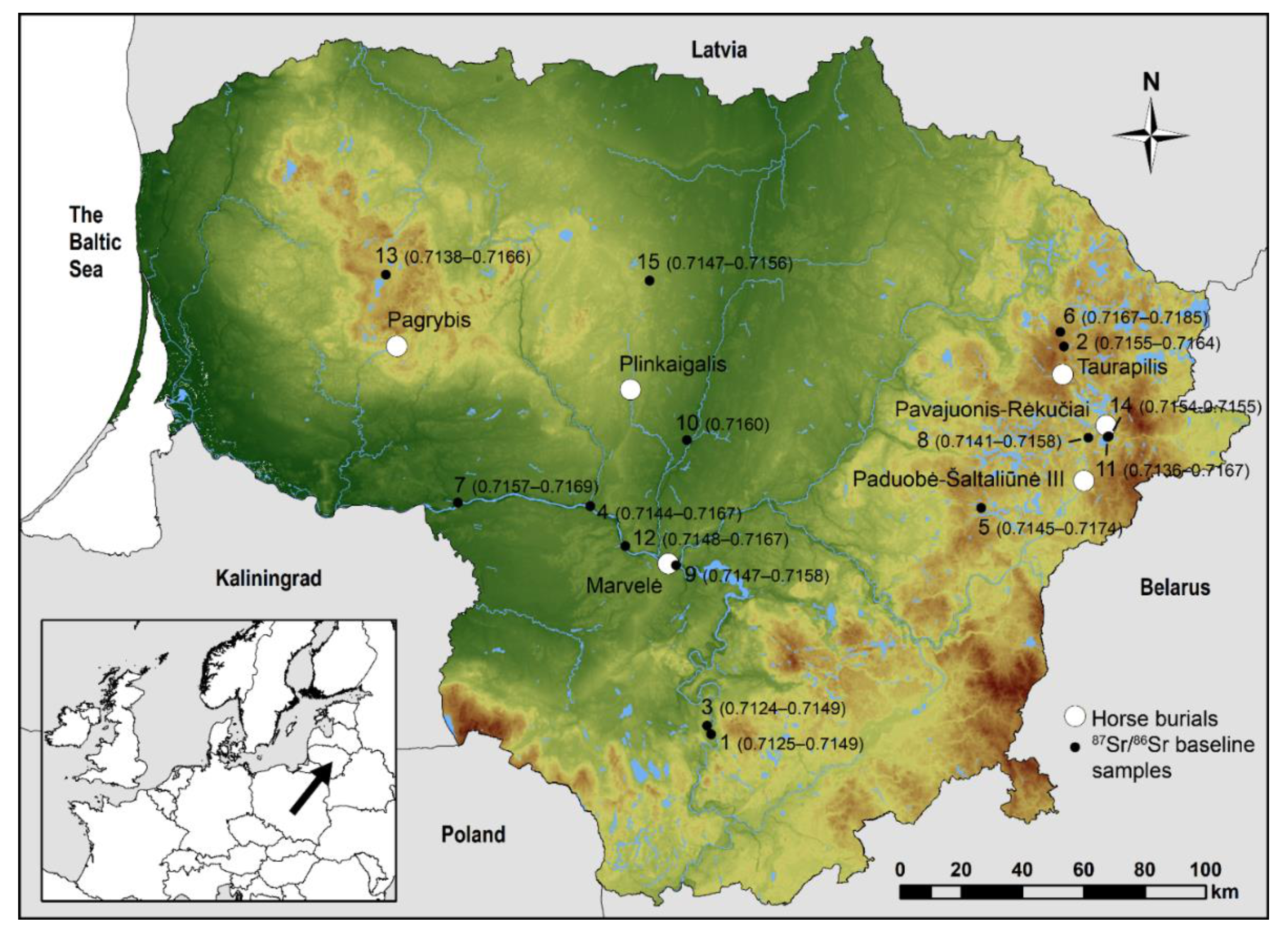 Heritage Free Full-Text The Origin of Late Roman Periodandndash;Post-Migration Period Lithuanian Horses