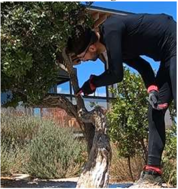 Heritage 05 00025 i009