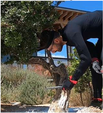 Heritage 05 00025 i010