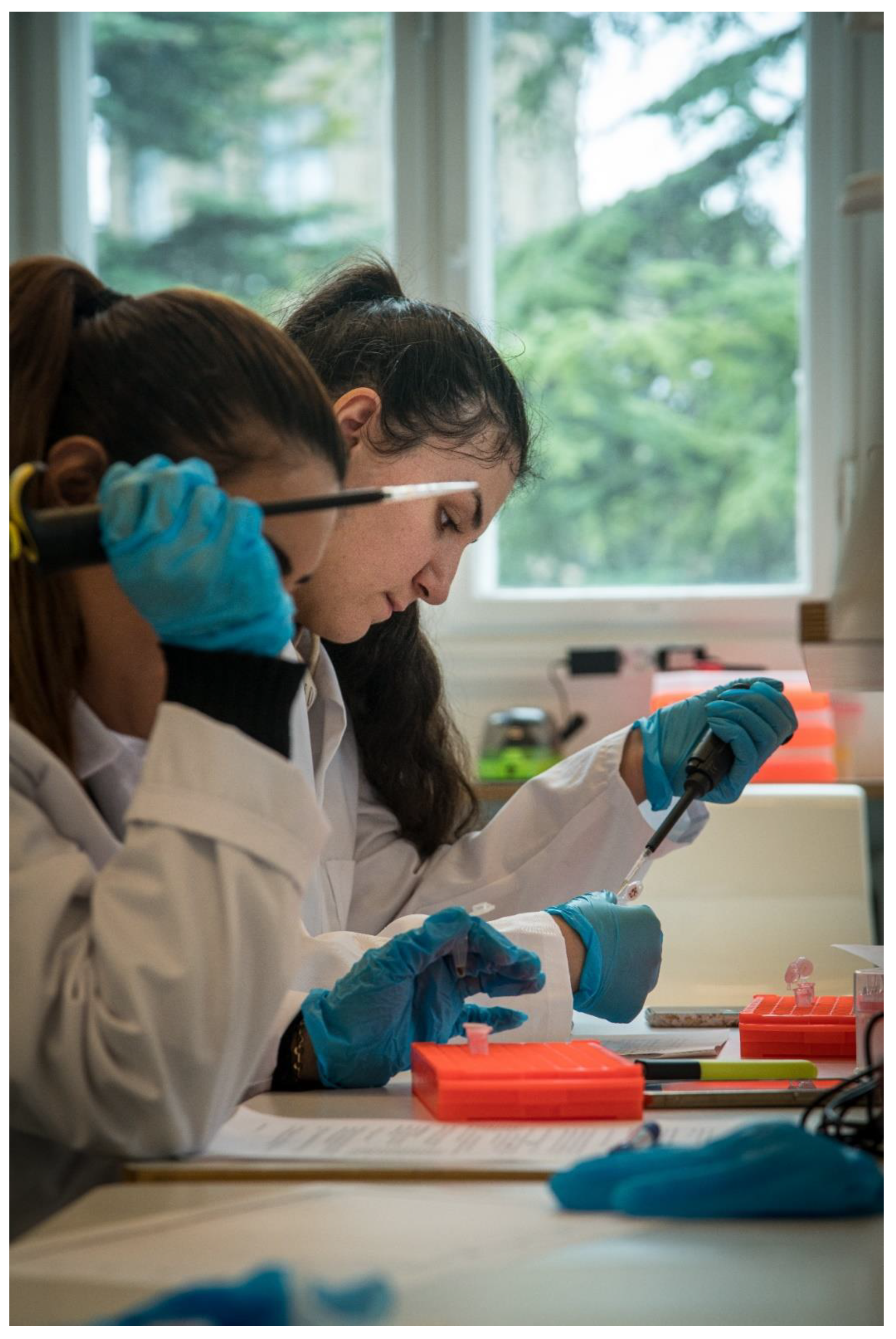 Heritage 05 00053 g001