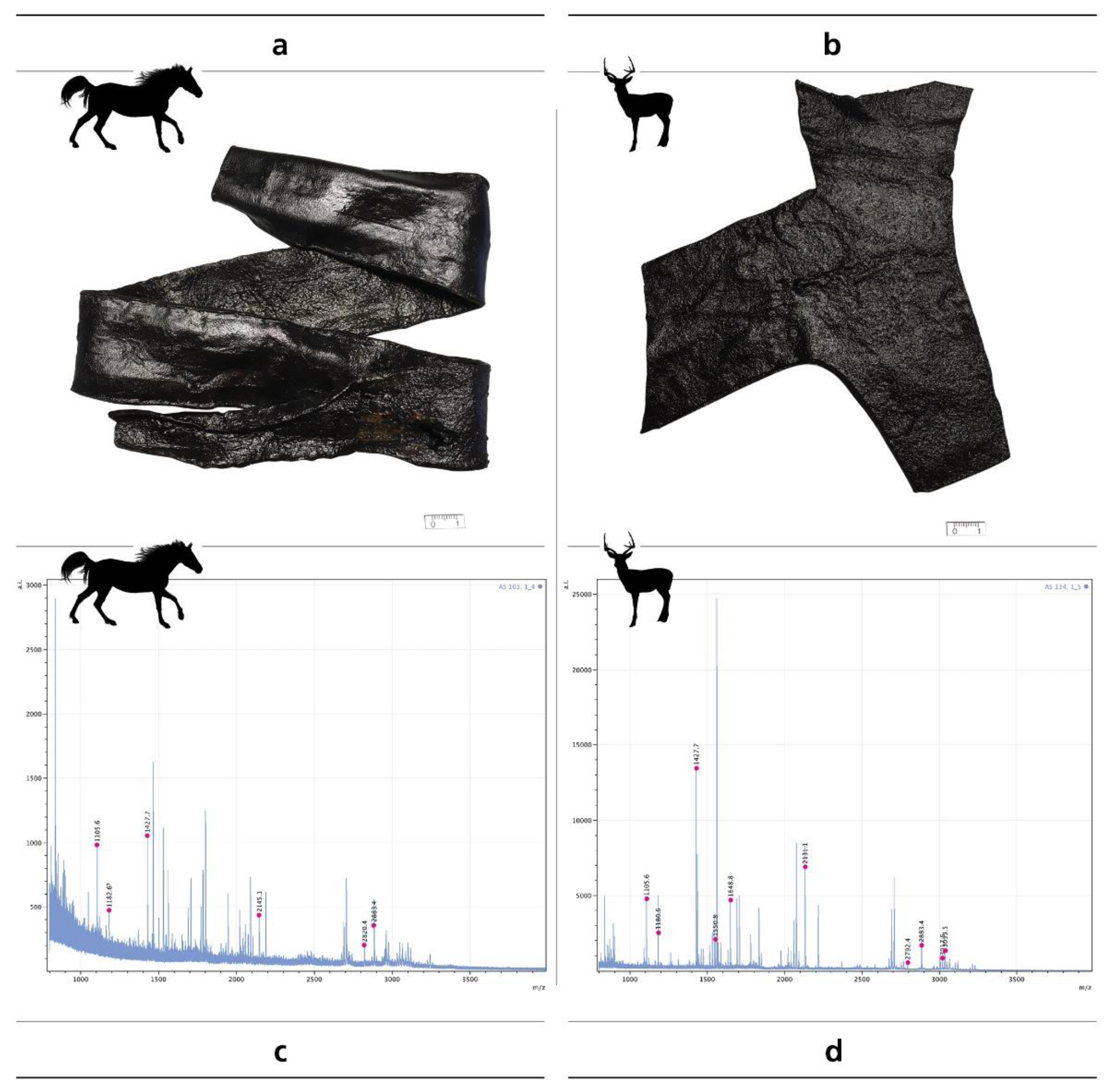 Heritage 05 00053 g007