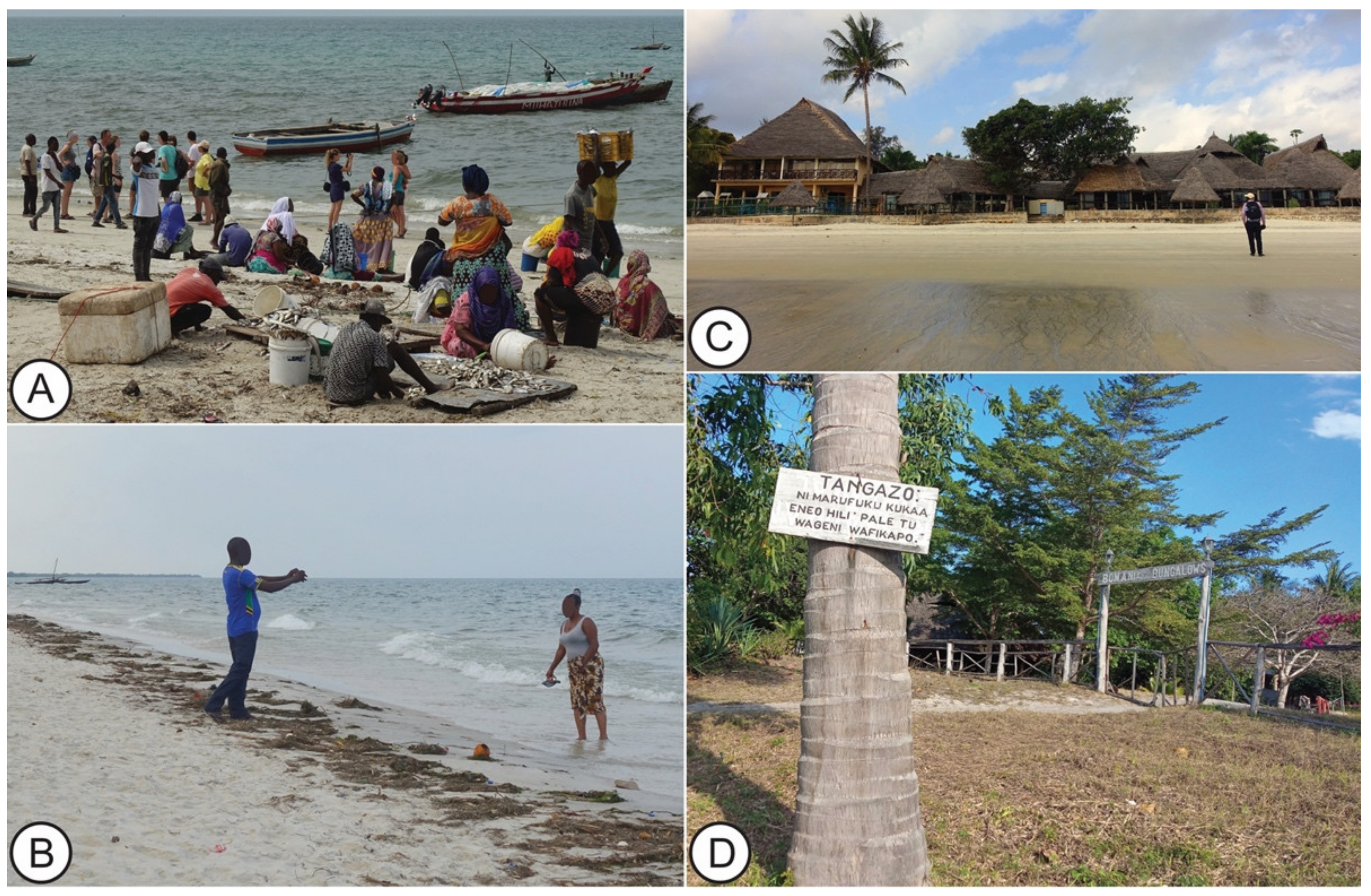 Heritage 05 00062 g010 550