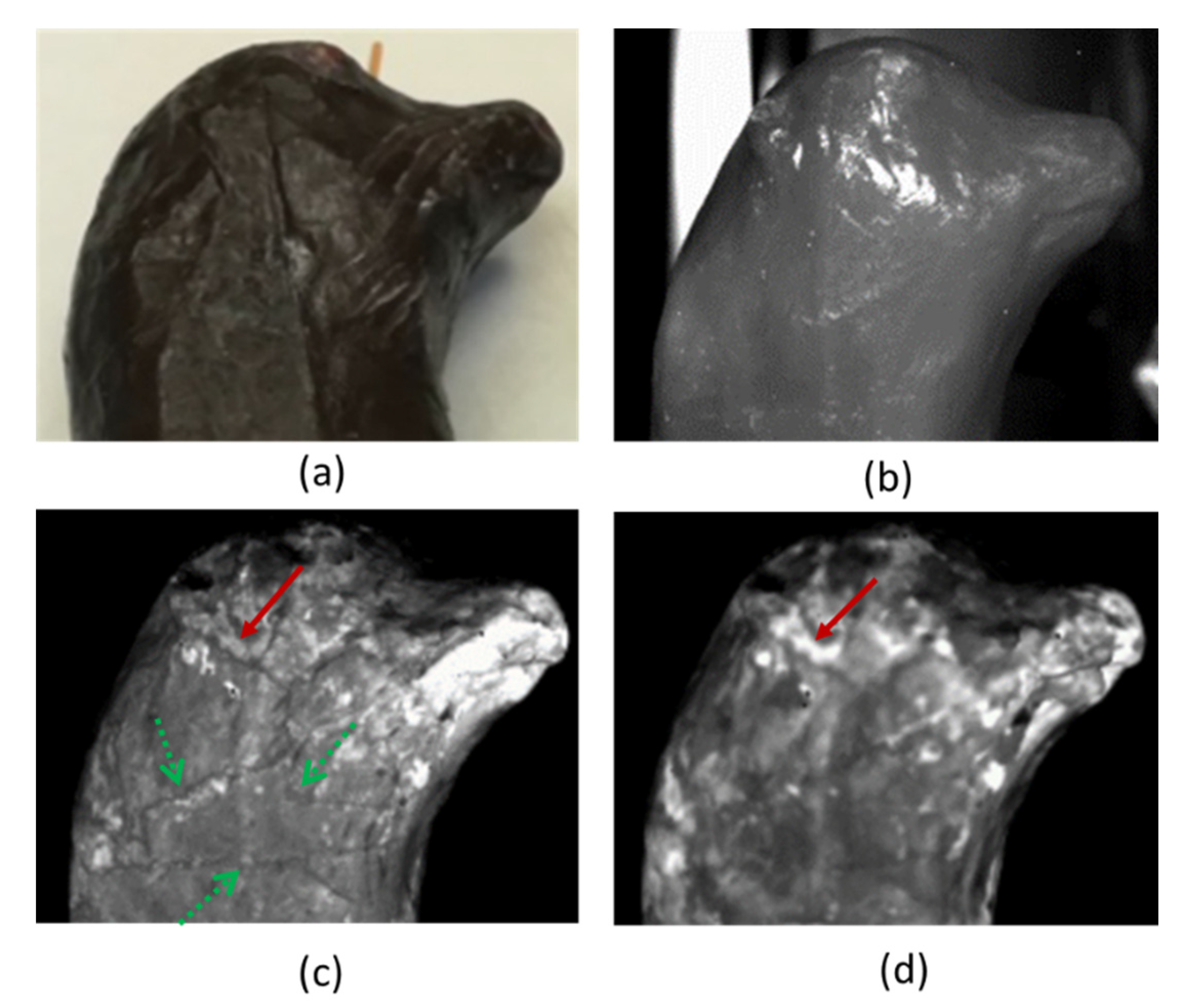 Heritage 05 00074 g008 Heritage 05 00074 g008