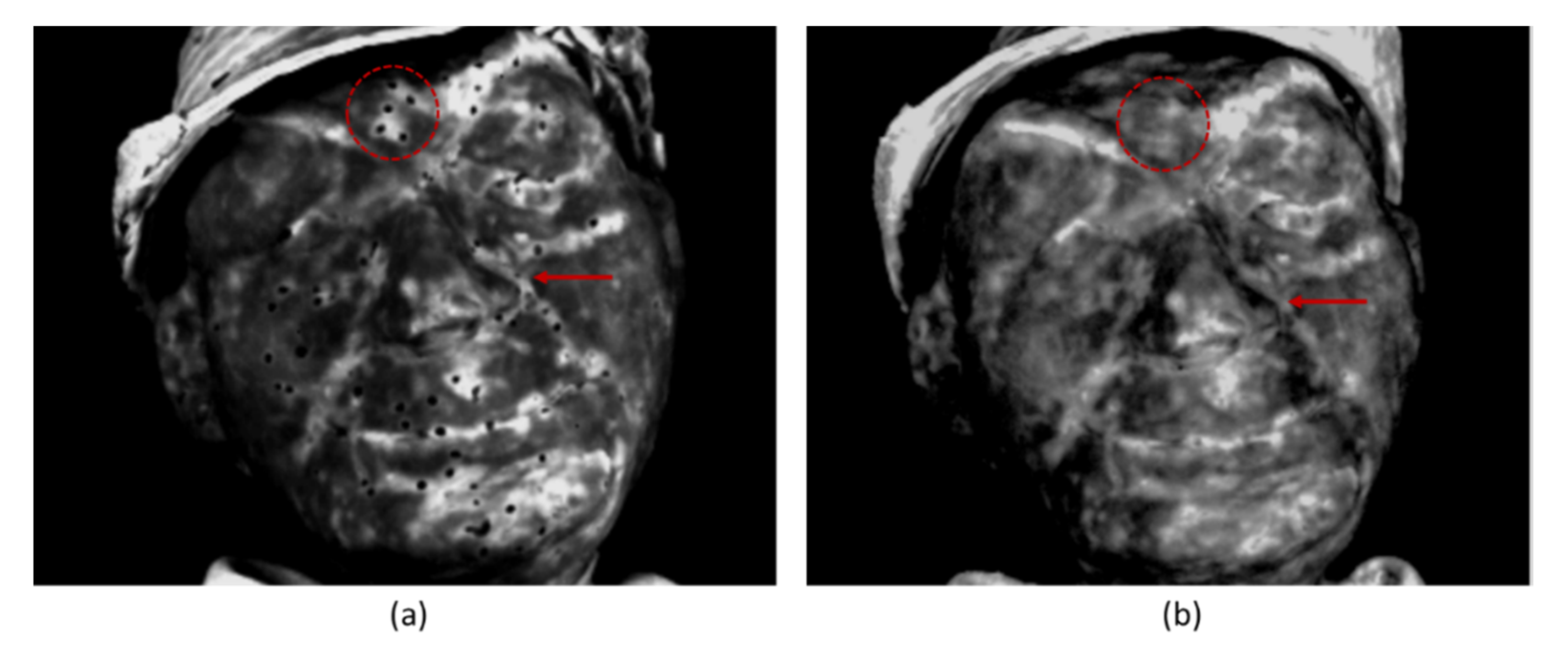 Heritage 05 00074 g011 Heritage 05 00074 g011