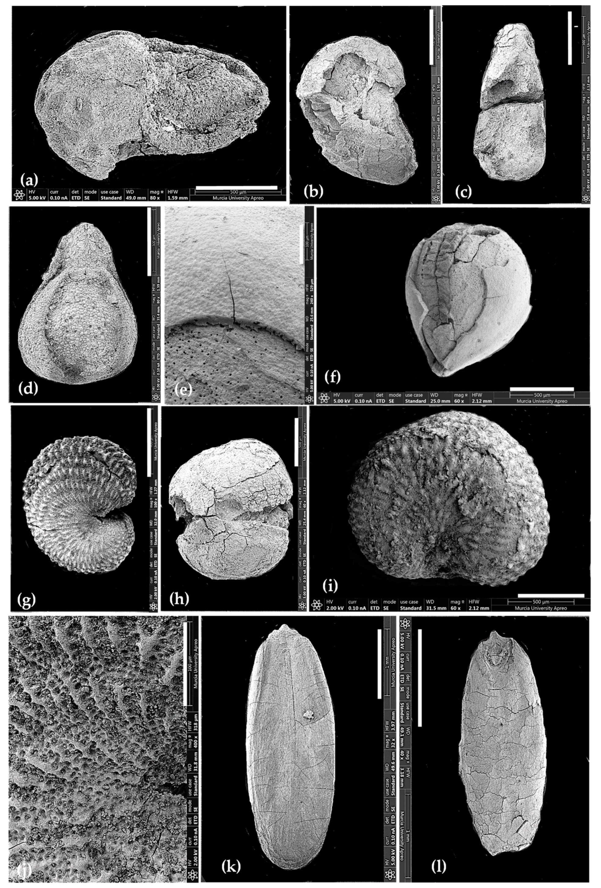 Heritage 05 00088 g004 Heritage 05 00088 g004