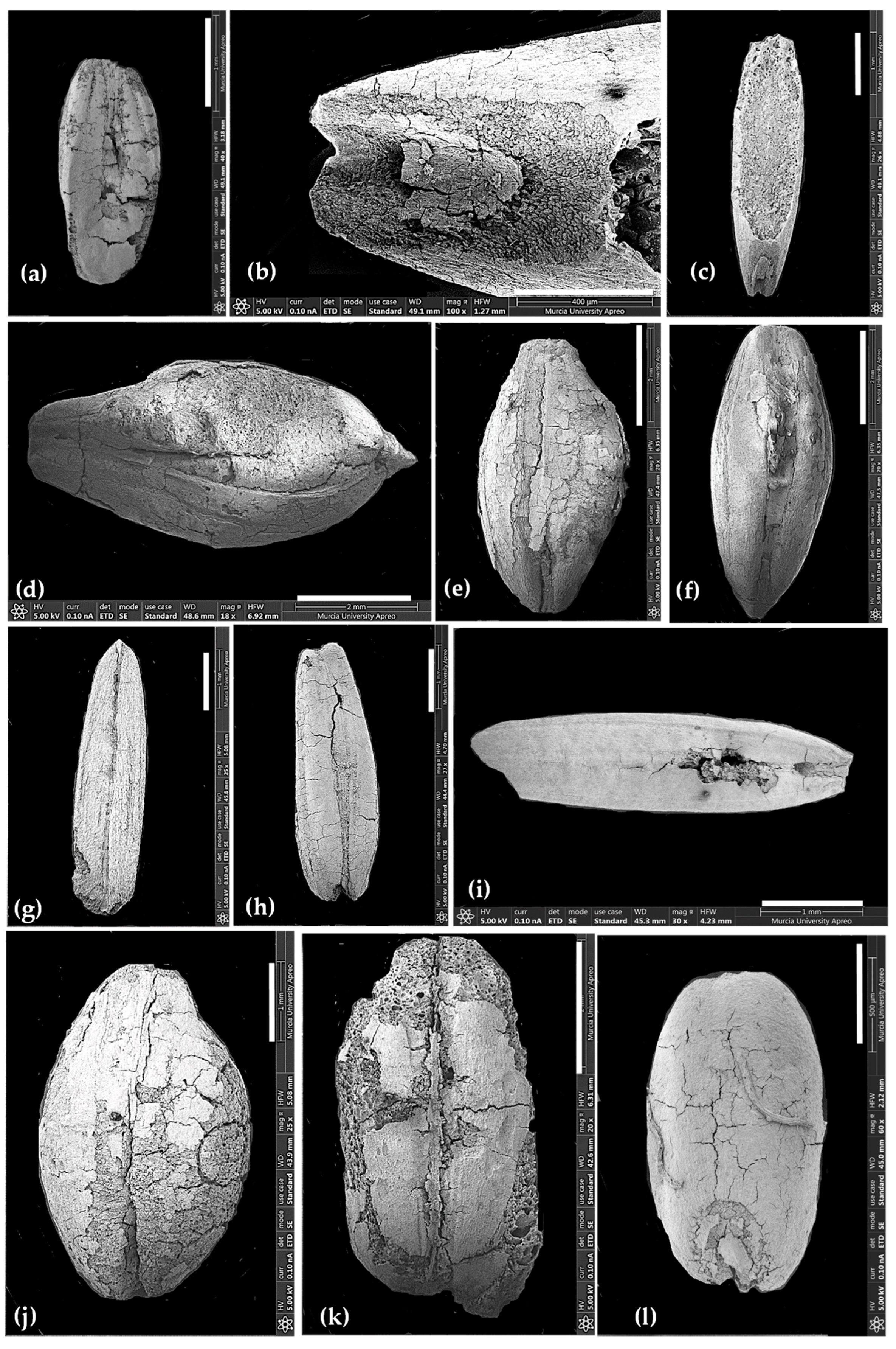 Heritage 05 00088 g005 Heritage 05 00088 g005