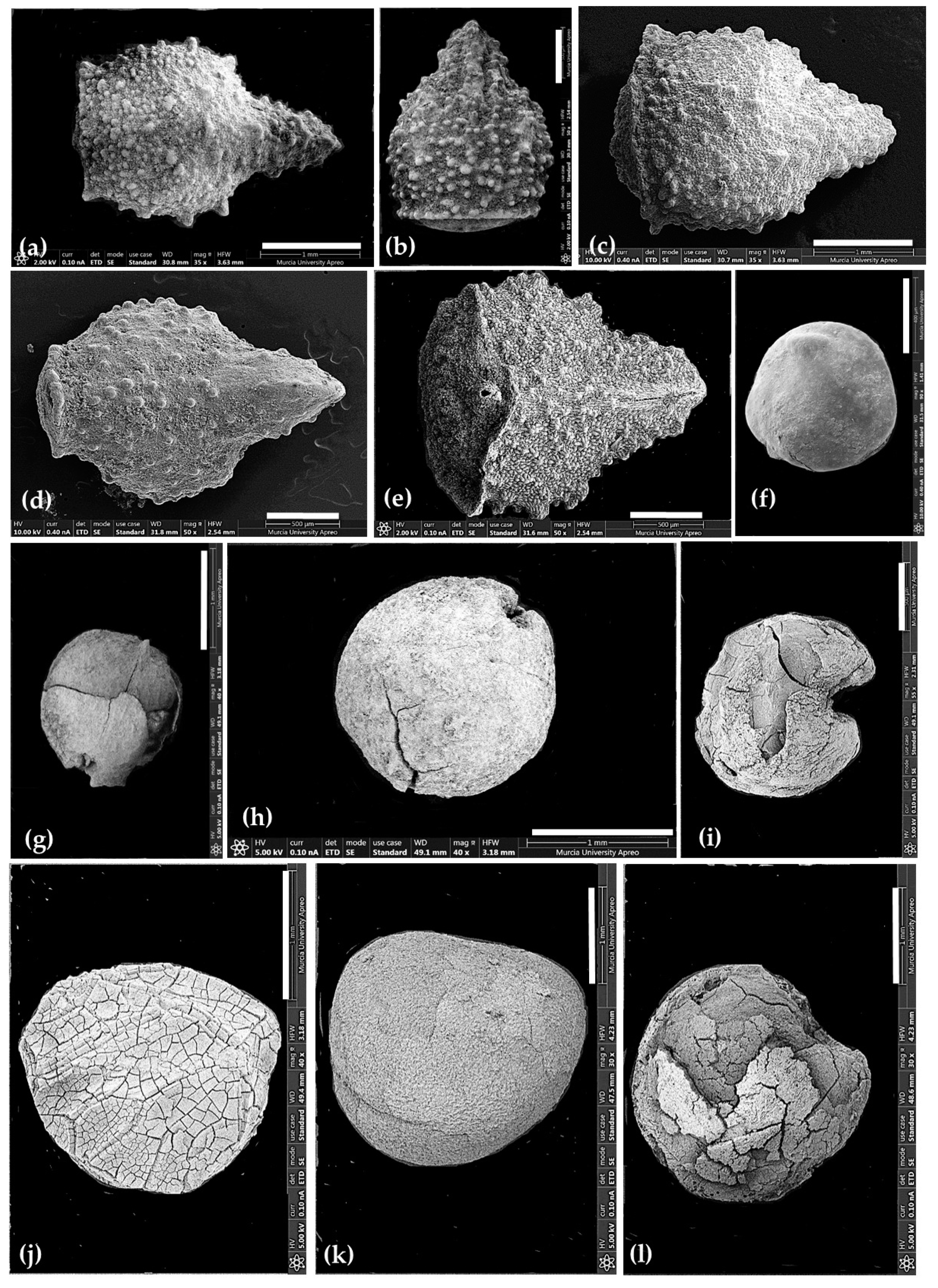 Heritage 05 00088 g006 Heritage 05 00088 g006