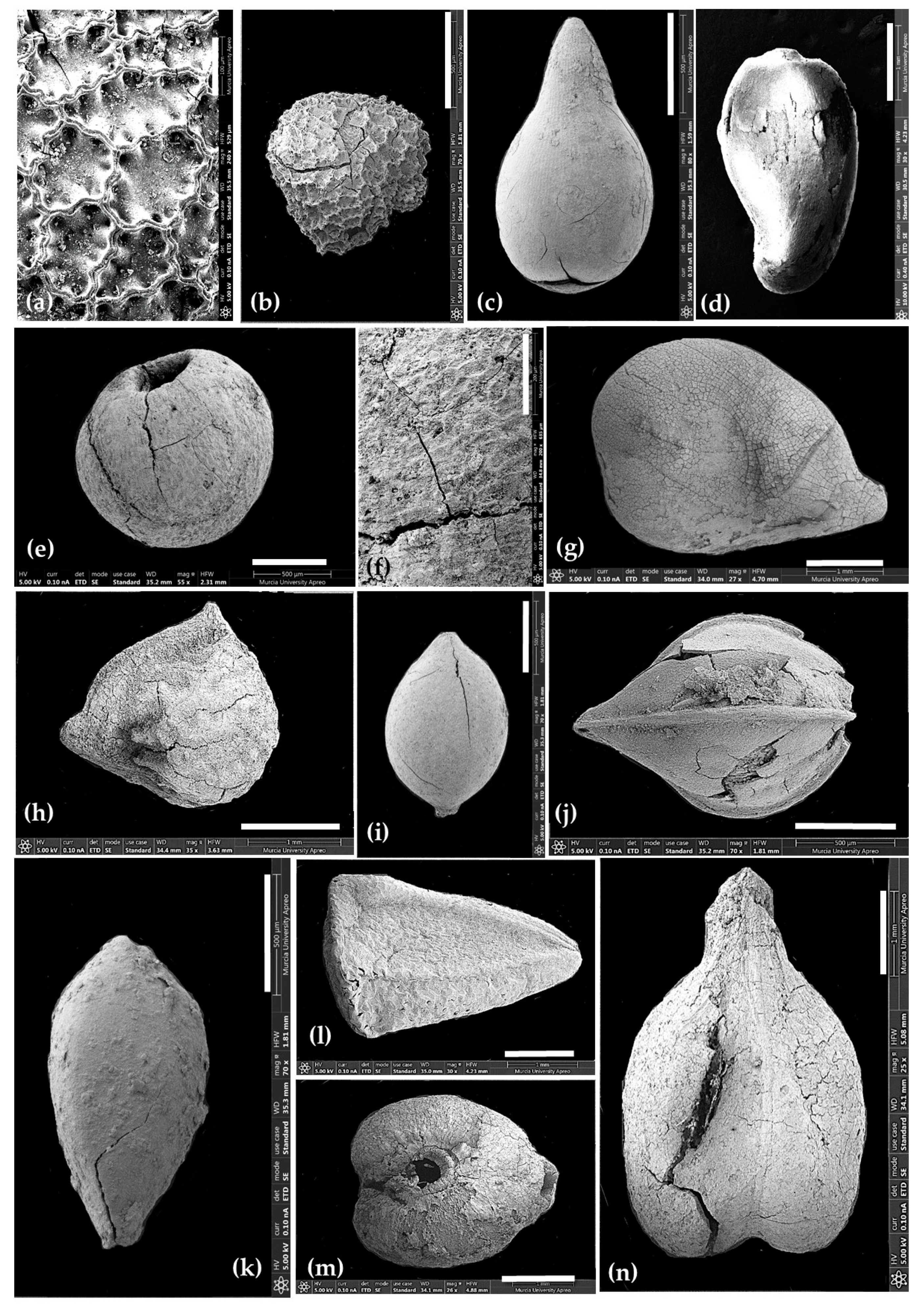 Heritage 05 00088 g008 Heritage 05 00088 g008