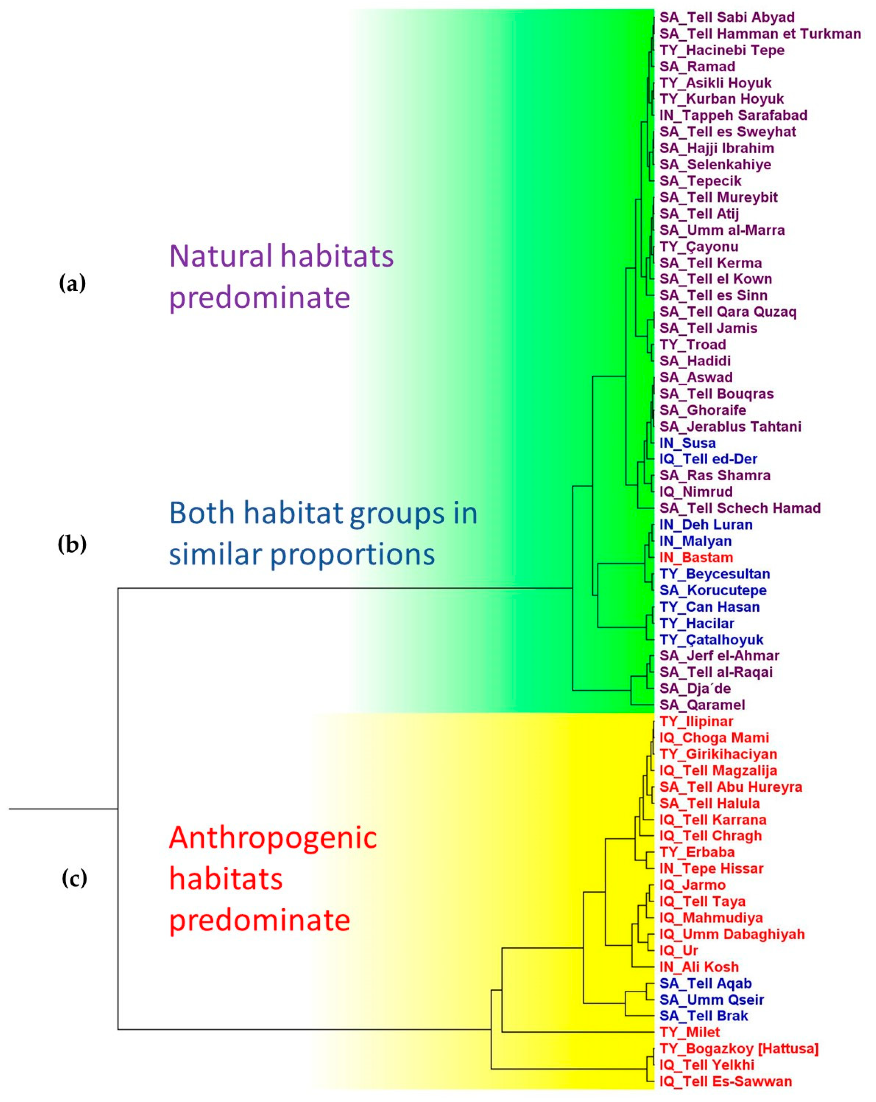 Heritage 05 00088 g010 Heritage 05 00088 g010