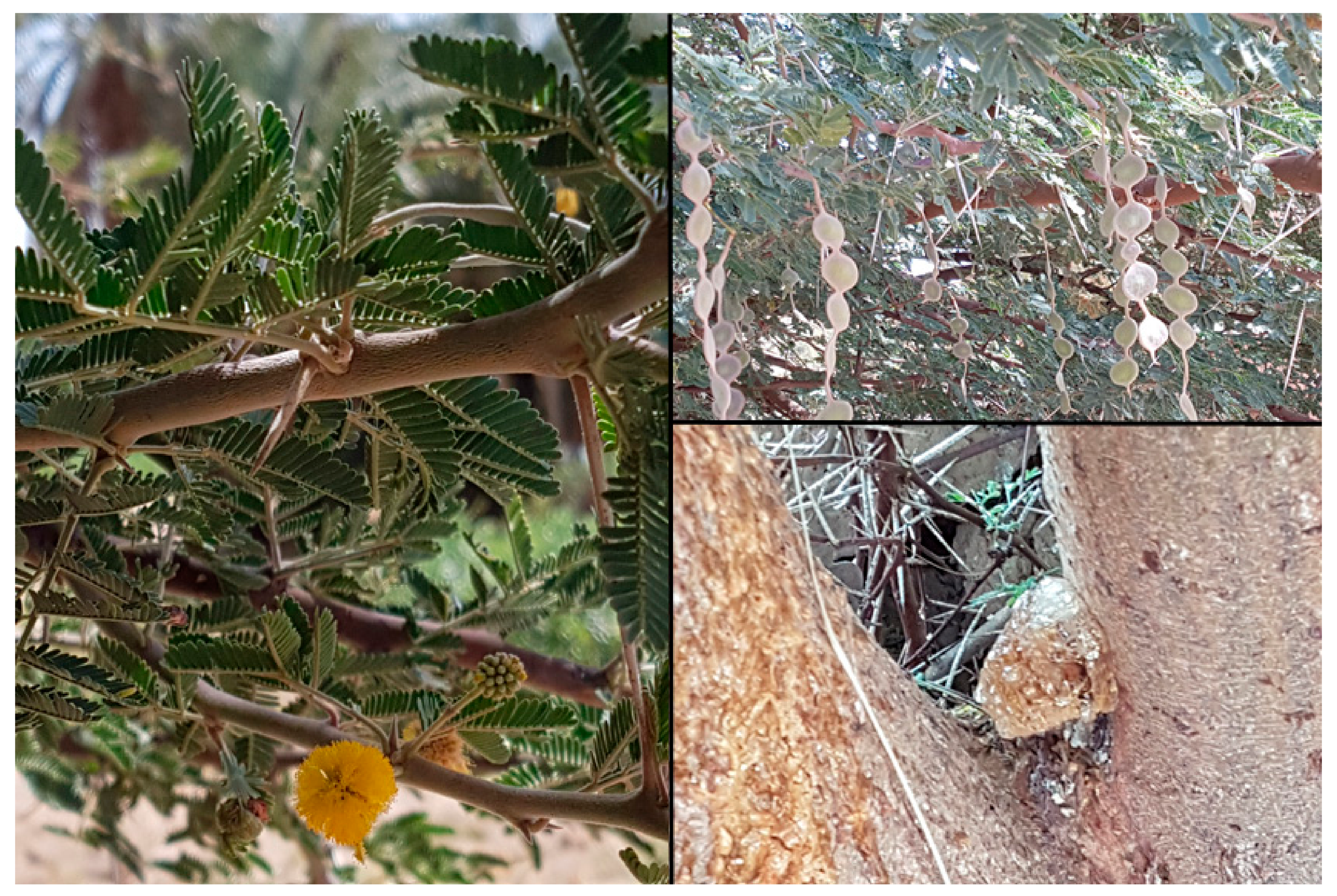 Heritage 05 00106 g002