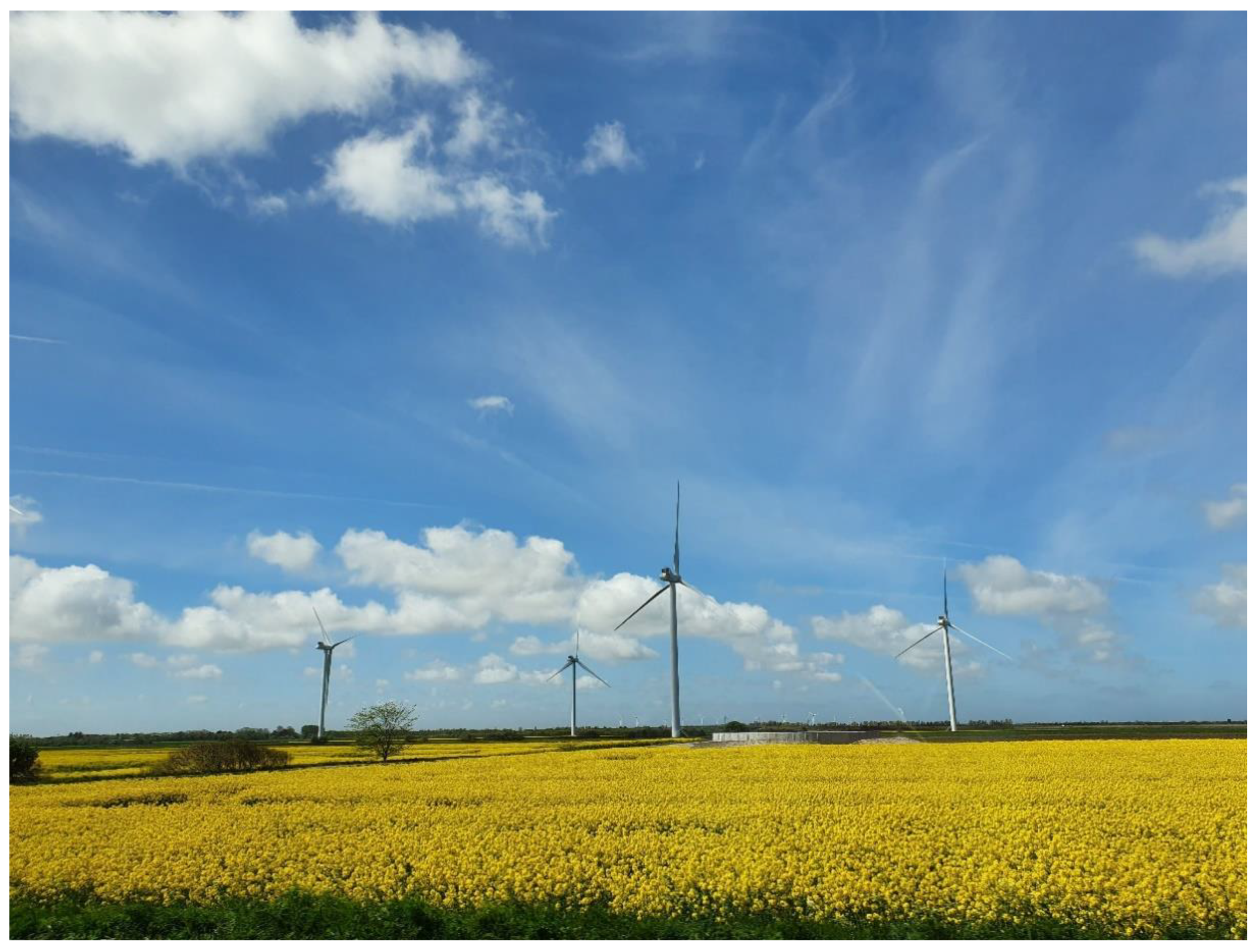 Heritage 05 00116 g009 550