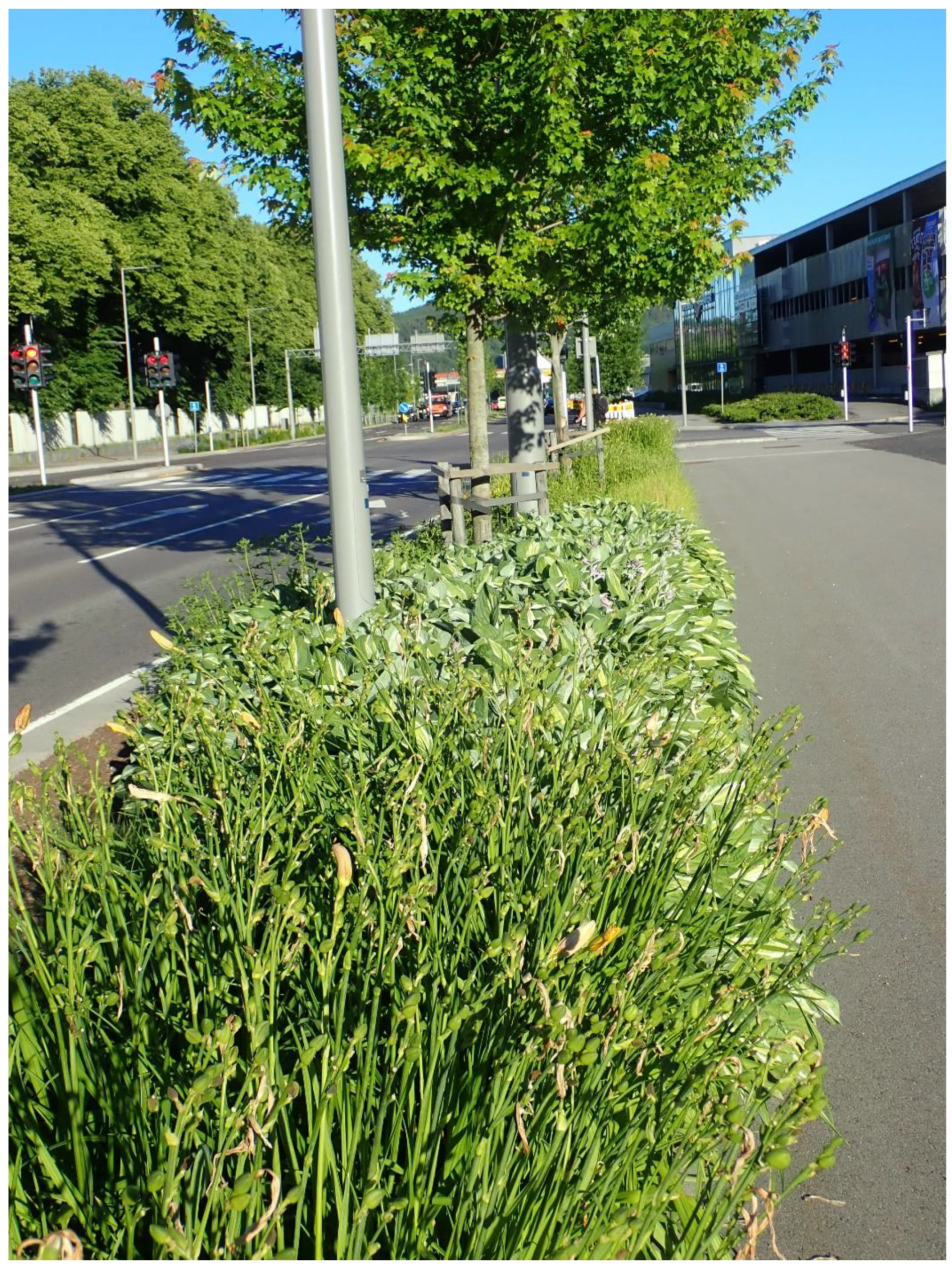 Heritage 05 00116 g013 550