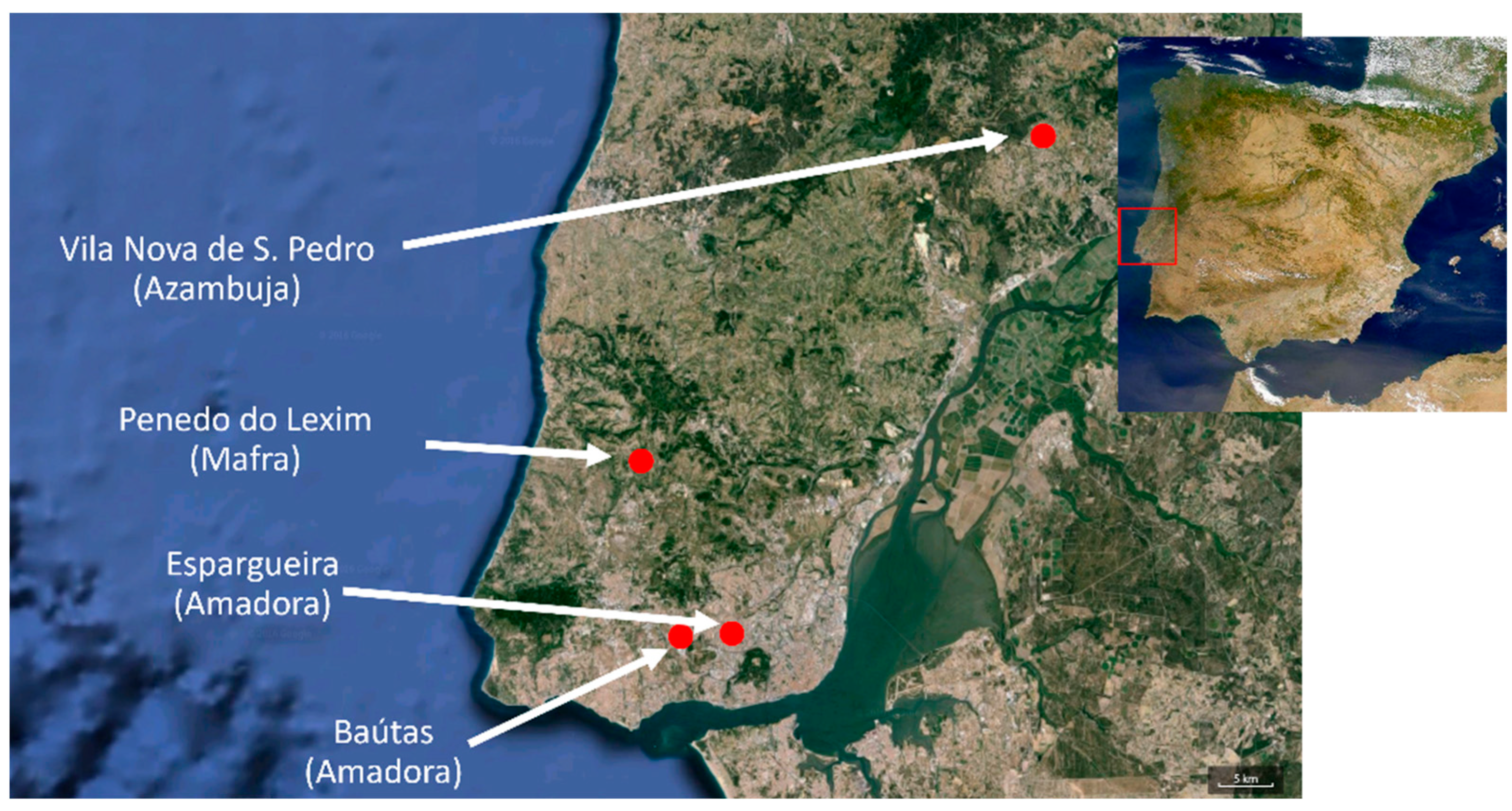 Heritage 05 00126 g002