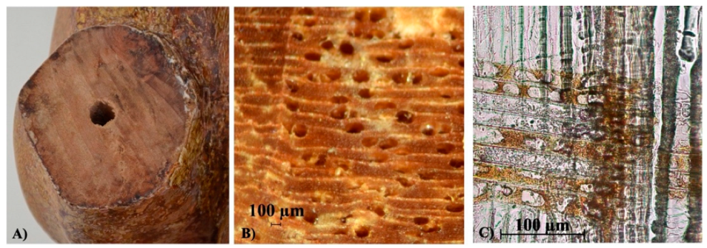 Heritage 05 00129 g004 550