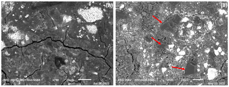 Heritage 05 00129 g008 550