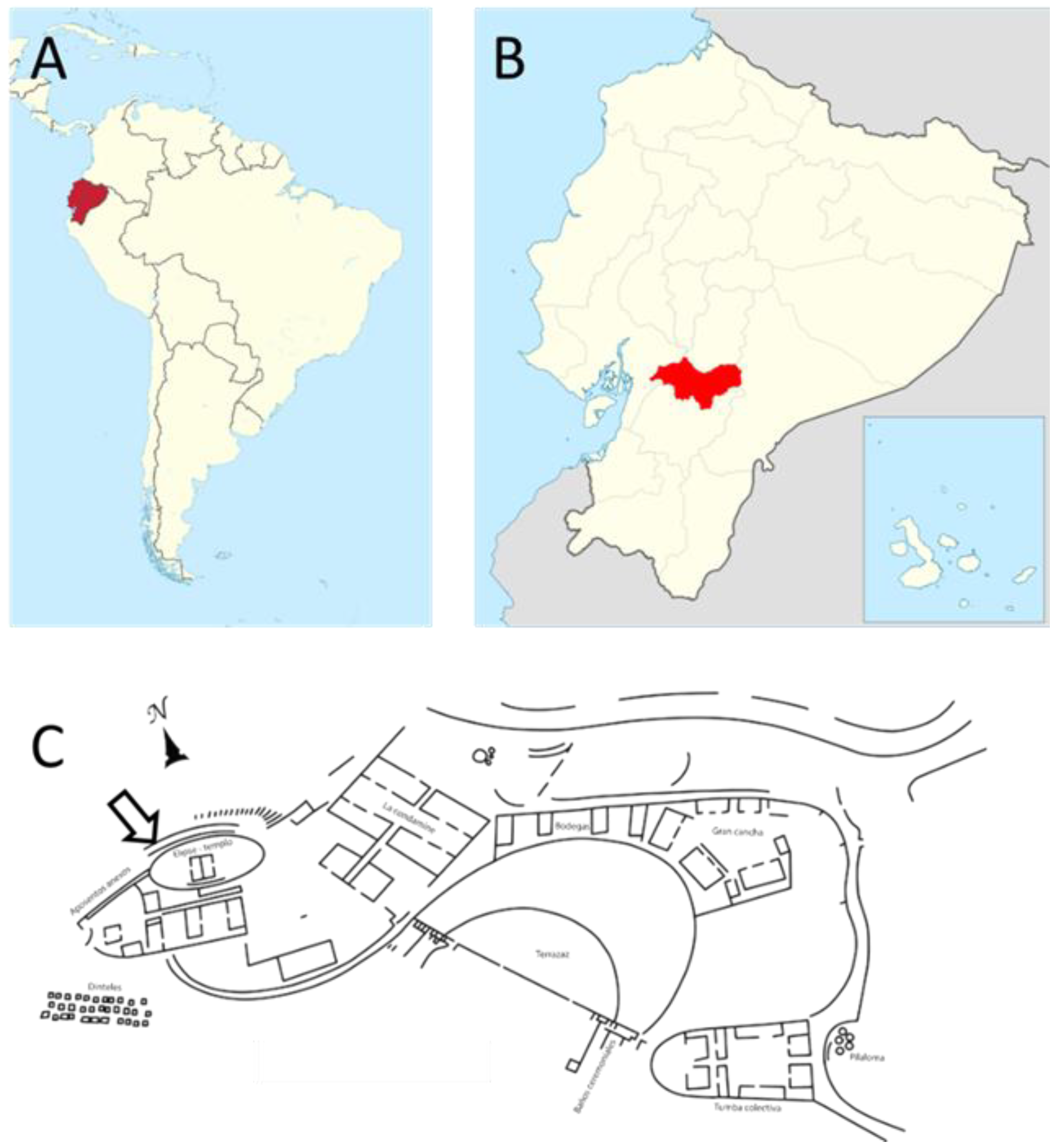 Free Full-Text | Biological Deterioration an Inca Monument at High Altitude in the Andean Range: A Study from Ingapirca&rsquo;s Temple of the Sun (Ecuador)