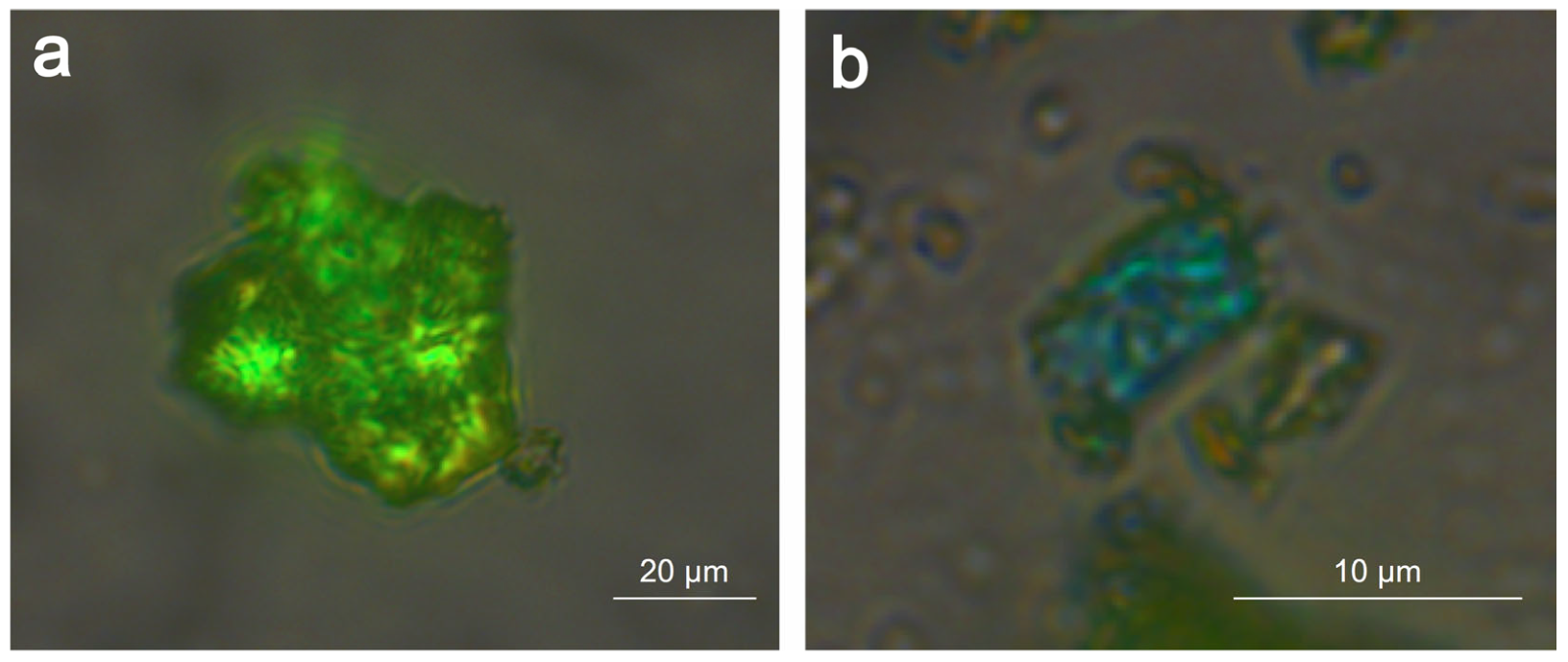 Heritage 05 00138 g003 Heritage 05 00138 g003